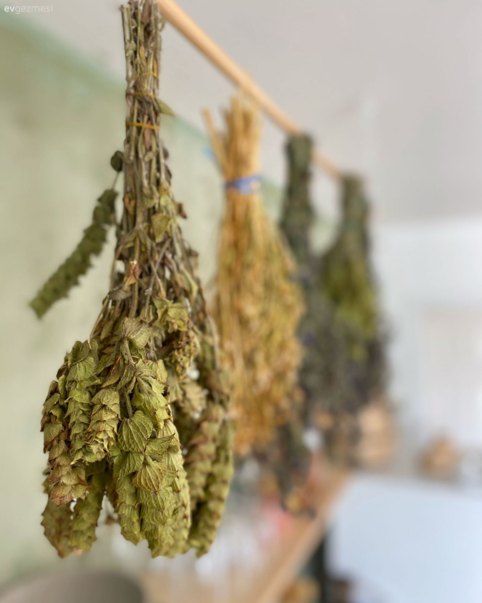 Mutfak aksesuarları, Mutfak