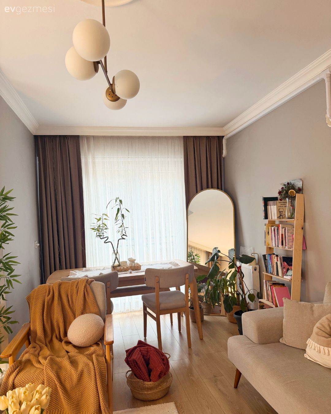 Salon, Modern, Krem, Bej, Beyaz, Kahverengi, Vizon, Koltuk takımı, Sandalye, Yemek masası, Fon perde, Perde, Tül perde, Kitaplık
