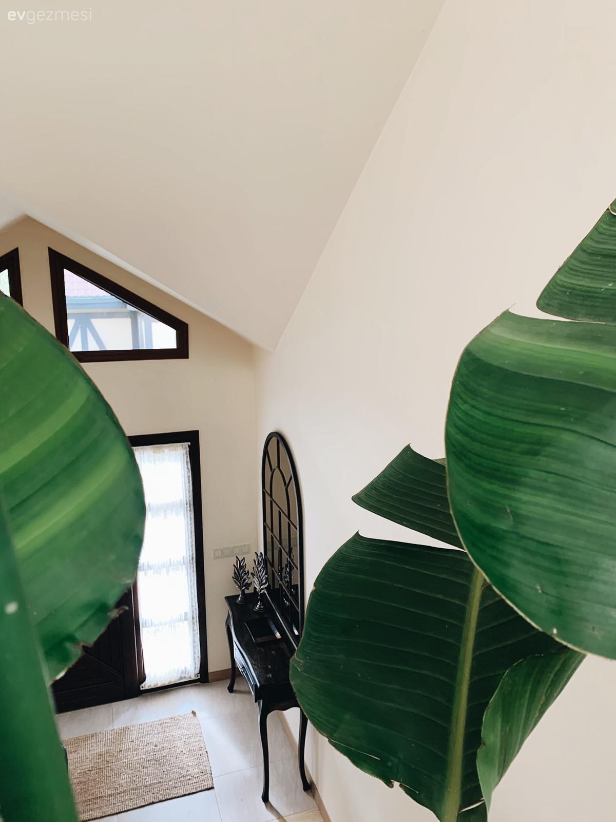 Beykoz'daki Bu Müstakil Evde Bitkilerin Boyu Tavana Kadar!