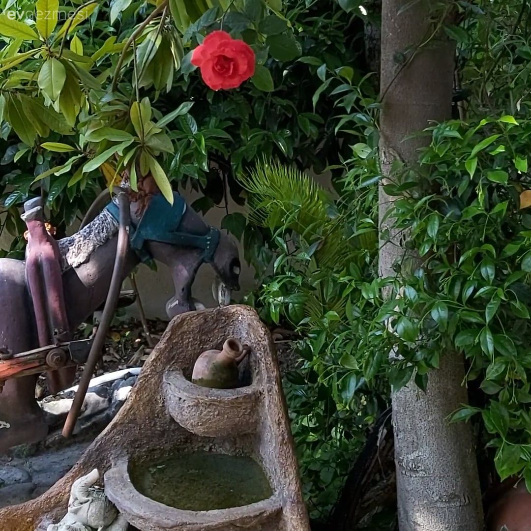 Bu Köy Evi Alışık Olunan Köy Evlerinin Biraz Ötesinde