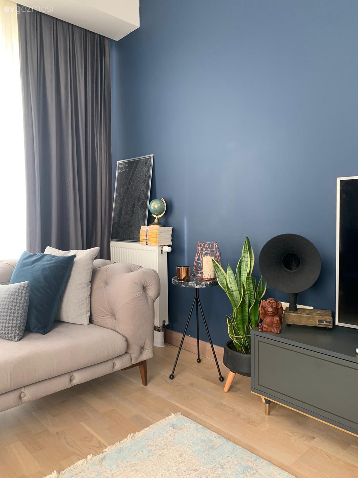 Mavi duvar, Siyah, Bej, Dekoratif Objeler, Ev bitkisi, Çerçeve