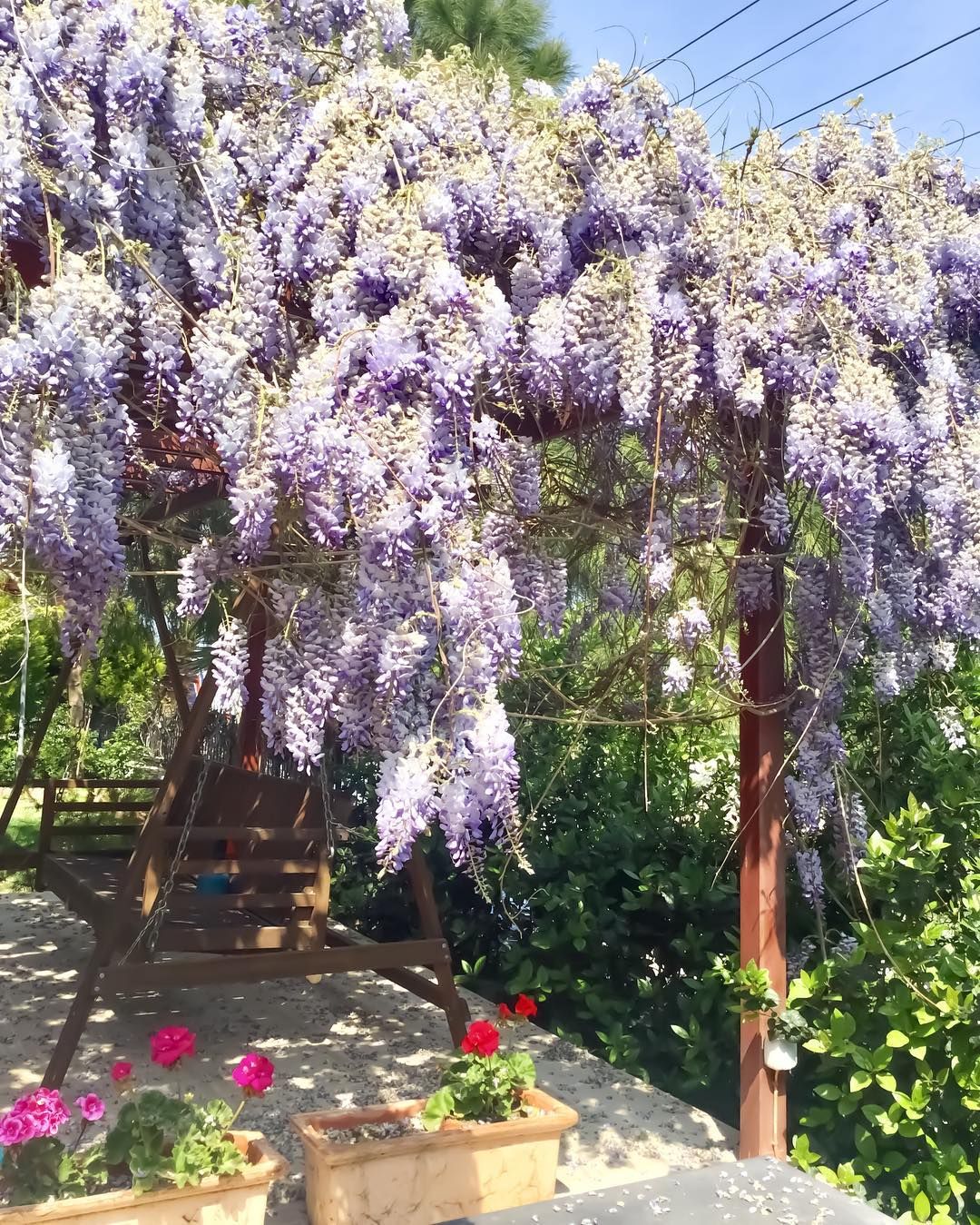 Bahçe, Çiçekler, Salıncak