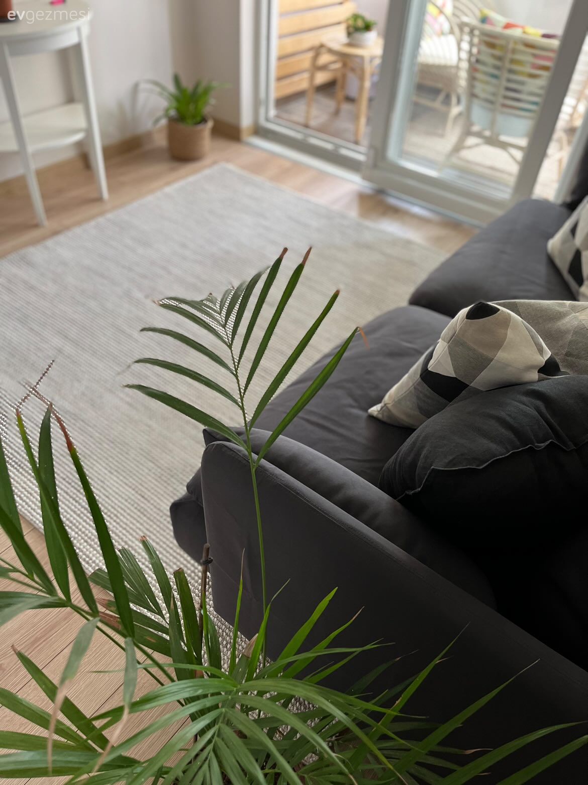 Bu İstanbul Evinde Uyumlu Renk Paleti Doğal Işıkla Aydınlatılmış!