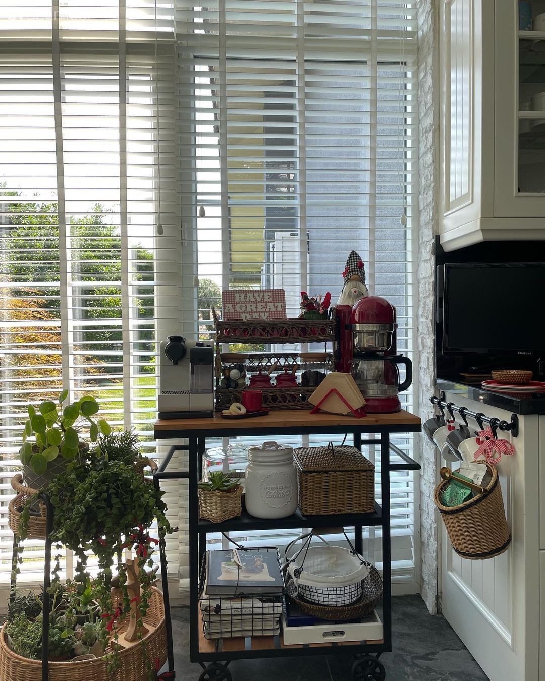 Jaluzi, Beyaz, Ev bitkisi, Duvar rafı, Duvar dekorasyonu, Kırmızı, Kahve köşesi