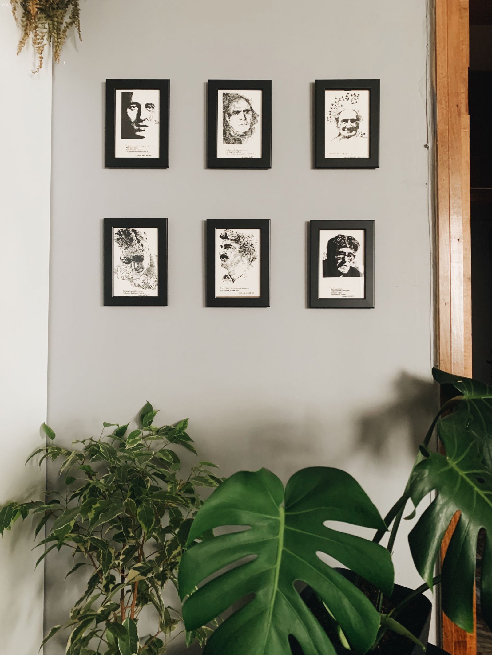 Çerçeve, Galeri duvarı, Duvar dekorasyonu, Ev bitkisi