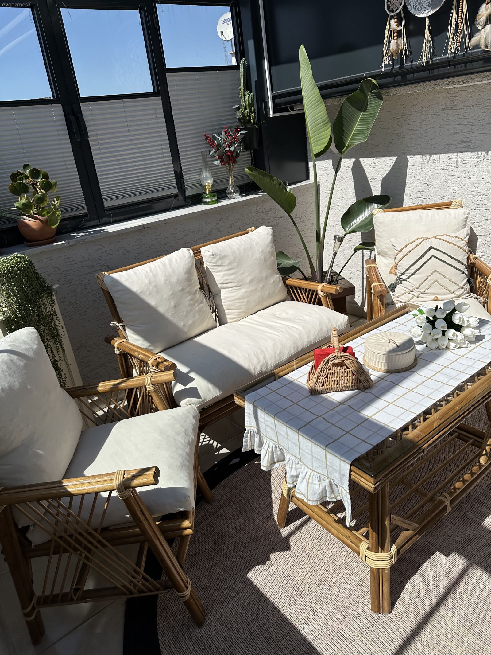 Teras, Kapalı balkon, Beyaz, Ahşap Mobilya, Sandalye, Halı, Salon halısı, Balkon masası, Dekoratif Objeler, Ev bitkisi