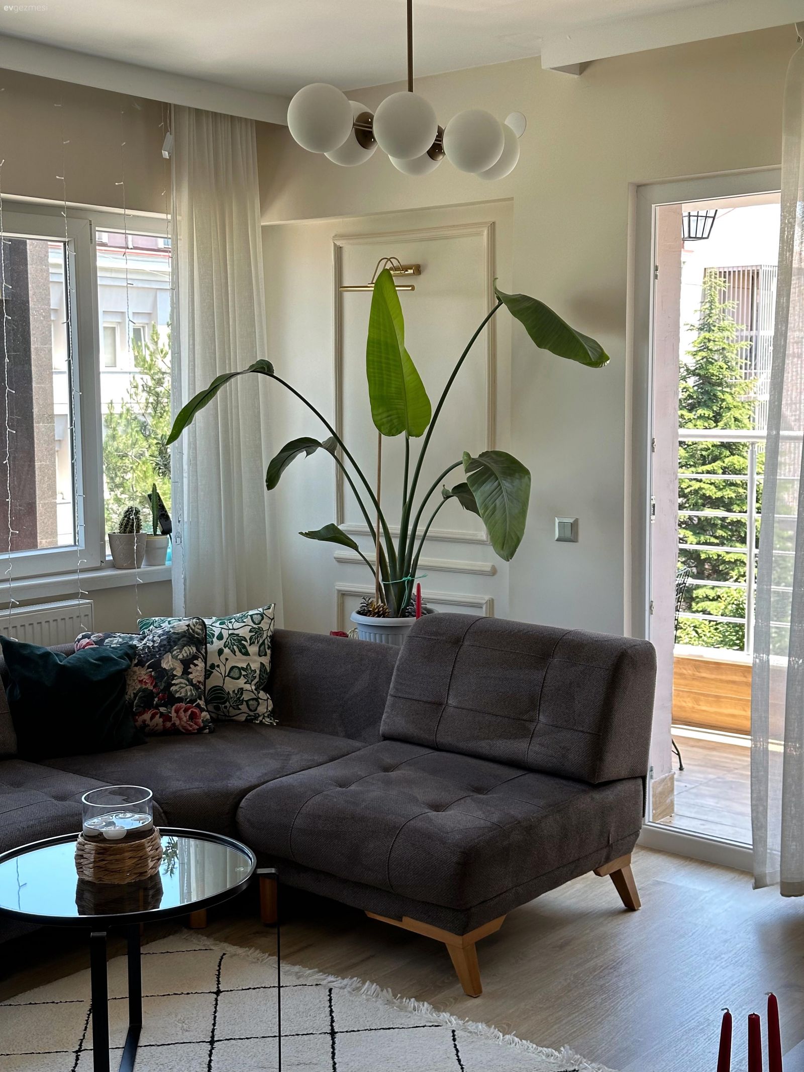 Salon Çiçekleri ile Evlerin Enerjisi Nasıl Yükseltilir?