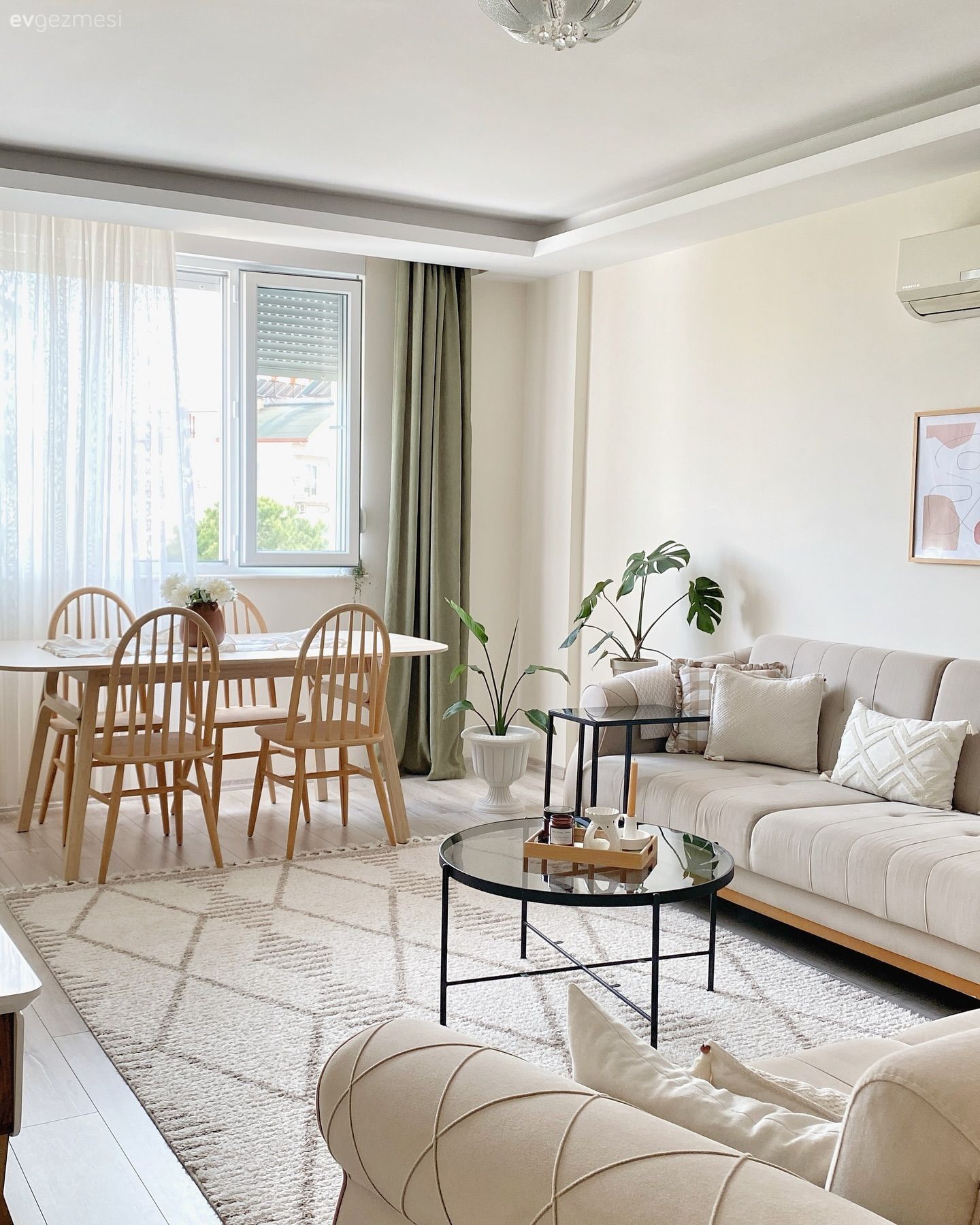 Salon, İskandinav, Koltuk takımı, Orta sehpa, Sehpa, Sandalye, Yemek masası, Fon perde, Perde, Tül perde, Halı, Salon halısı, Ev bitkisi