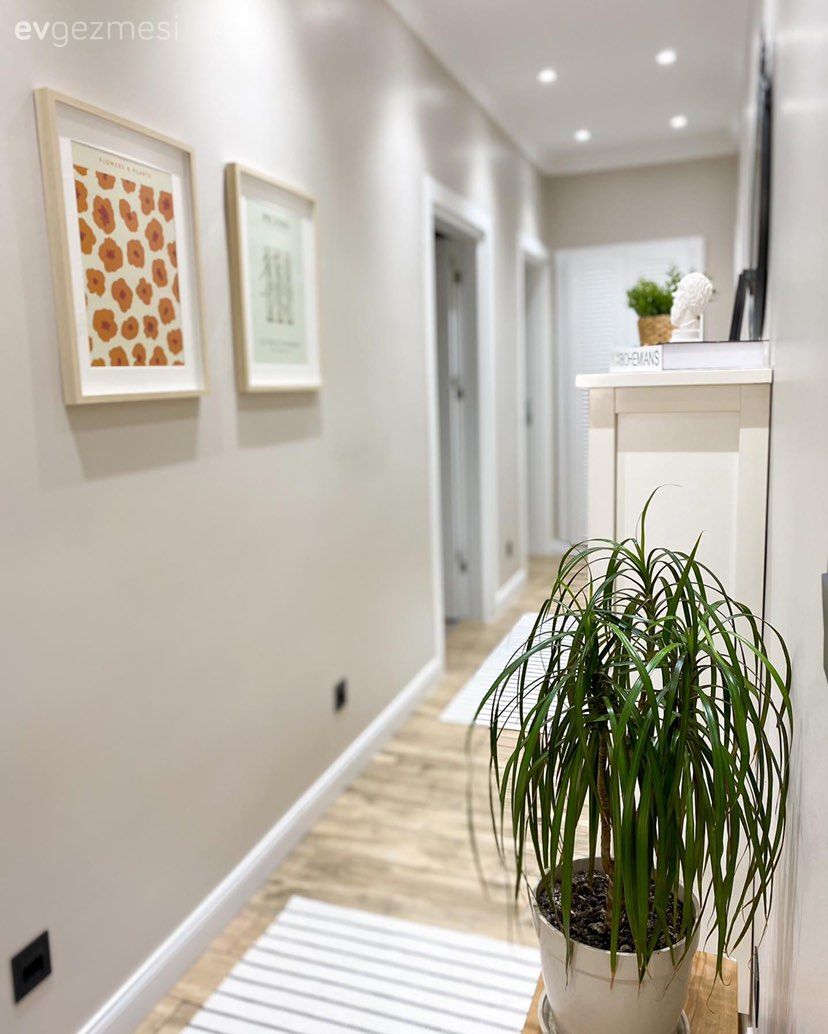Antre, Beyaz, Krem, Tablo, Duvar dekorasyonu, Spot aydınlatma, Aydınlatma, Saksı, Ev bitkisi, Yolluk, Halı