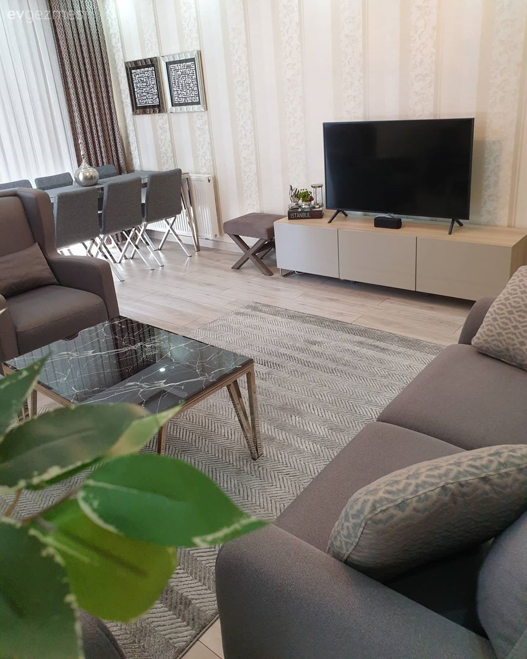 Salon, Modern, Gri, Beyaz, Krem, Vizon, Koltuk takımı, Kırlent, Ev tekstili, Orta sehpa, Sehpa, Halı, Salon halısı, Tv ünitesi, Tv ünitesi aksesuarları, Ev Aksesuar, Duvar dekorasyonu, Sandalye, Yemek masası, Fon perde, Perde, Tül perde, Ev bitkisi