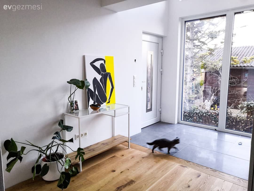 Dresuar, Tablo, Duvar dekorasyonu, Sarı, Siyah, Beyaz, Ev bitkisi