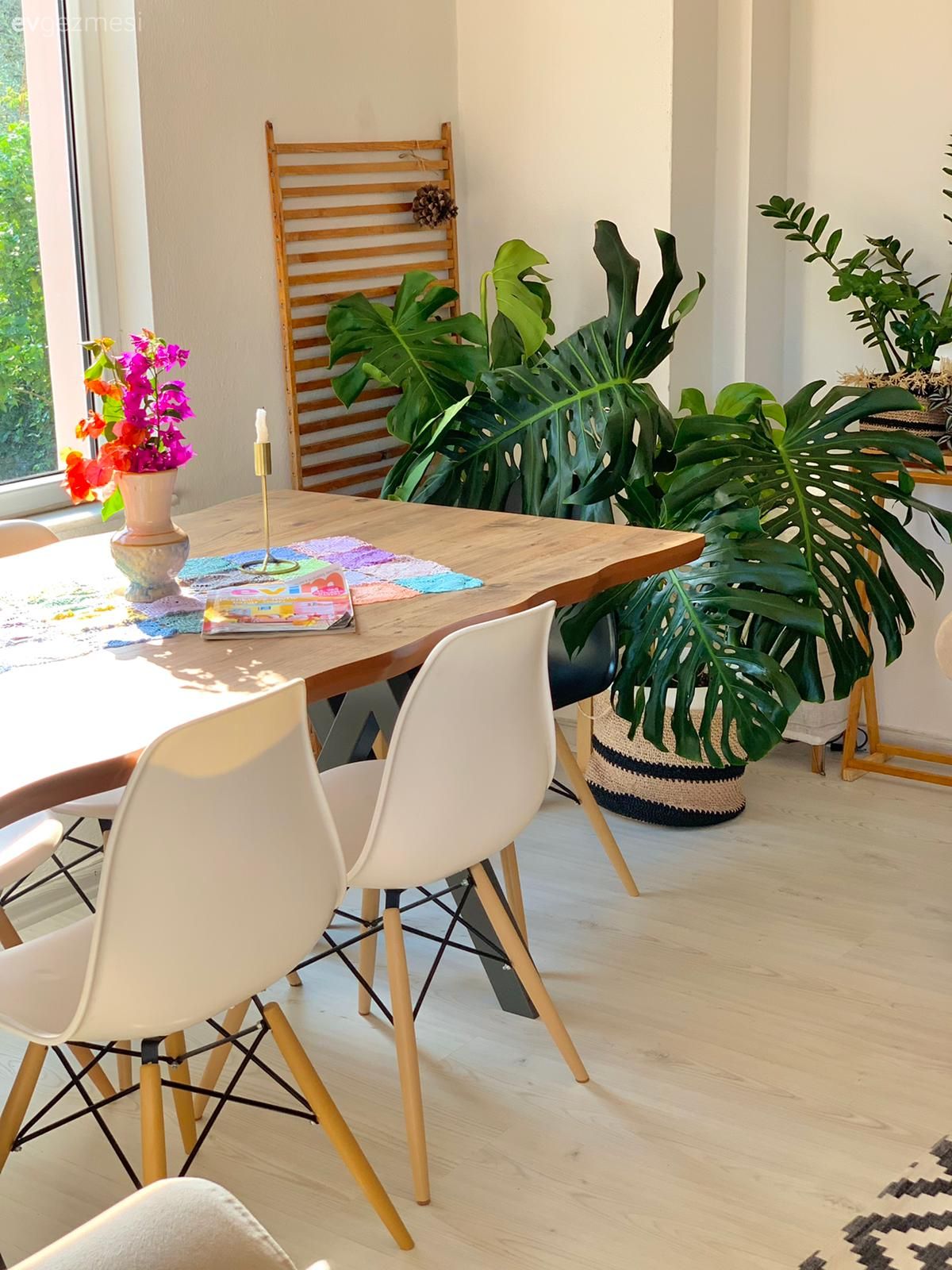 Bu Sıcak Dekorda Mekanın Sahibi Yemyeşil Bitkiler!