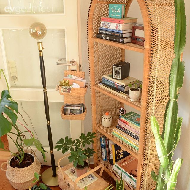 Hasır, Dolap, Saksı, Ev bitkisi