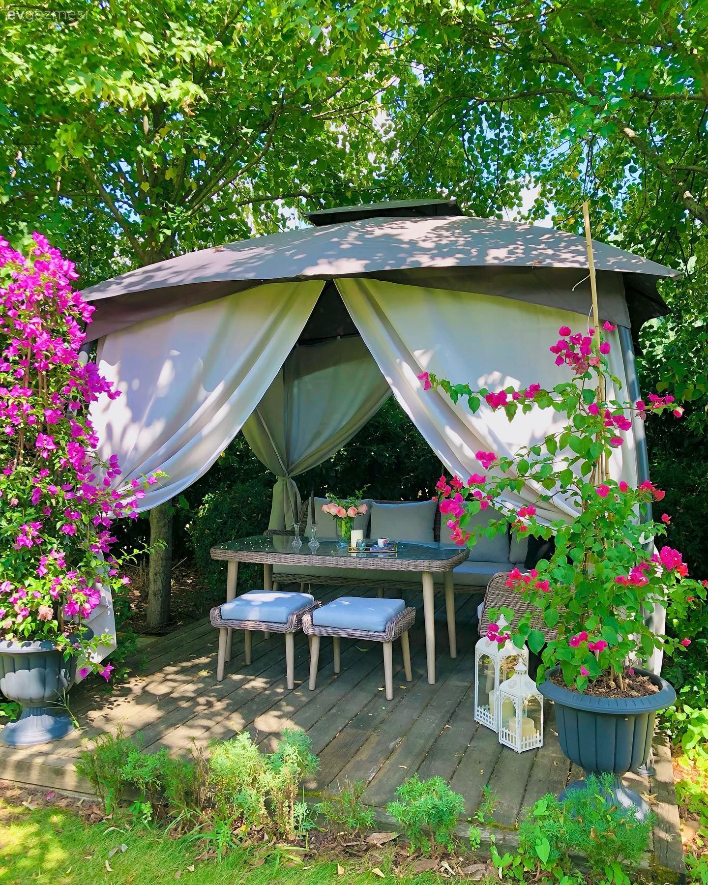 Bahçe, Kamelya, Sandalye, Bahçe masası, Çiçekler, Peyzaj