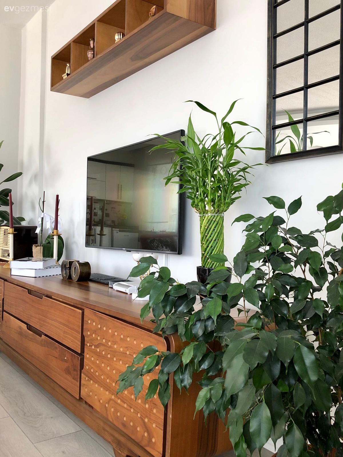 Tv ünitesi, Tv ünitesi aksesuarları, Ev Aksesuar, Kahverengi, Siyah, Beyaz, Ev bitkisi, Dekoratif Objeler, Ayna