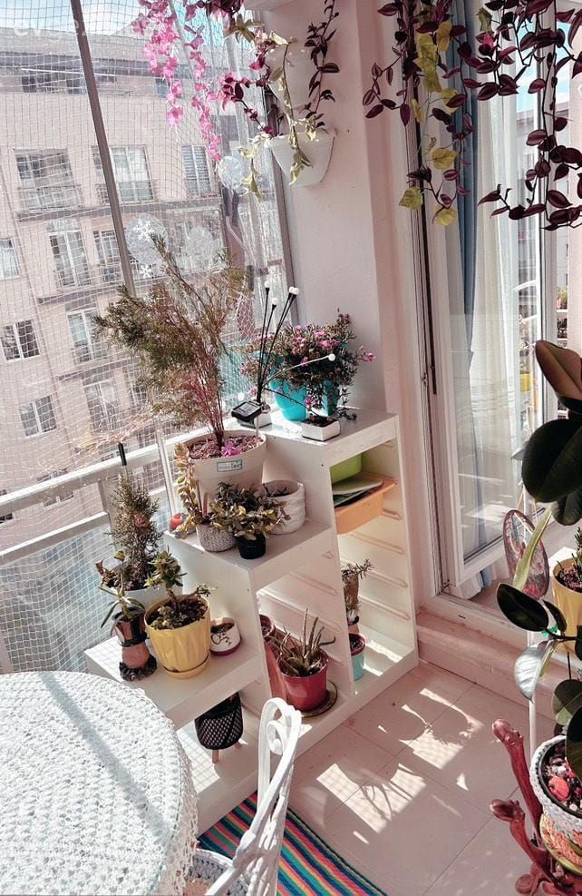 Bitkilerle Dolu Bu Balkon Apartmana Taşınmış Bir Bahçe Gibi!