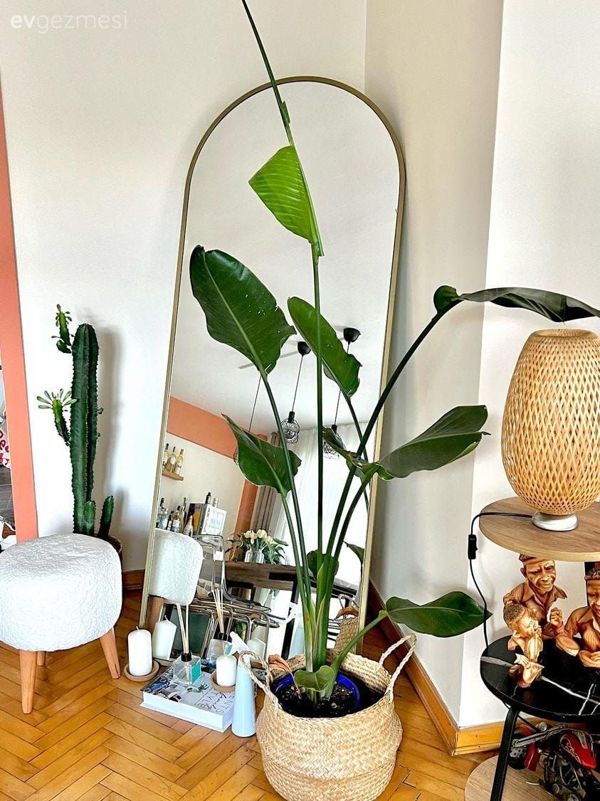 Dekorunuzda Paris Ruhu: Evinizi Nasıl Daha Havalı Gösterebilirsiniz?