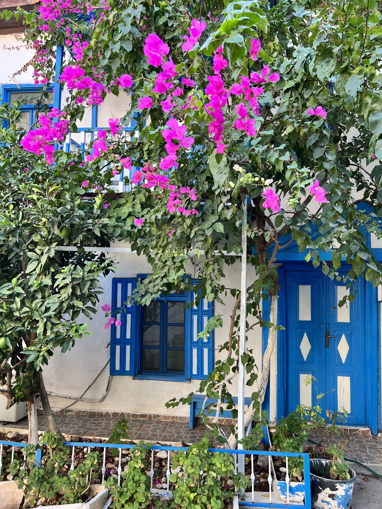 100 Yılı Devirmiş Bu Tarihi Rum Evi Denizin Asırlık Sevgilisi!