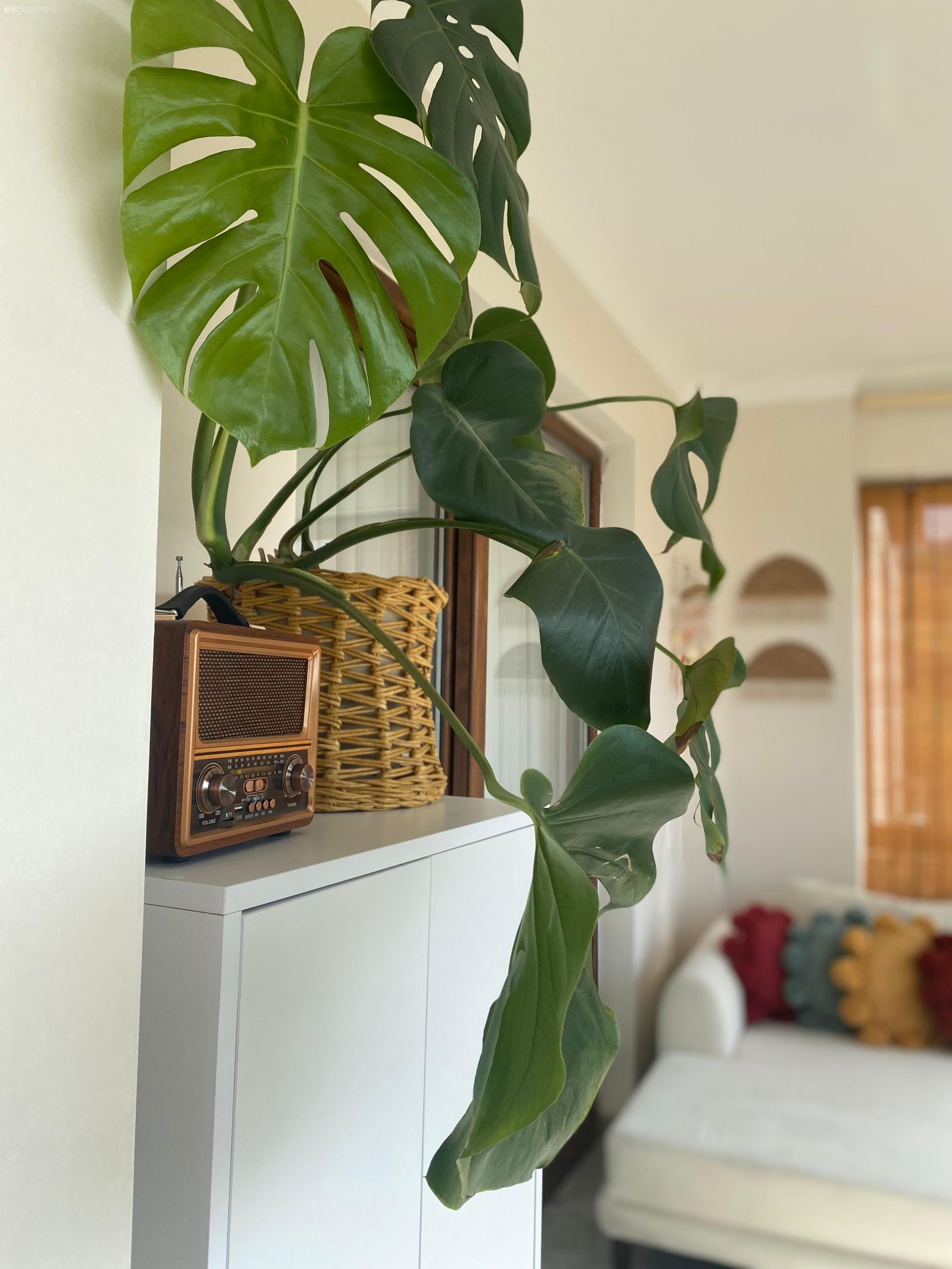 Bu Trabzon Evinde Balkondan Salona Her Yer Enerjik