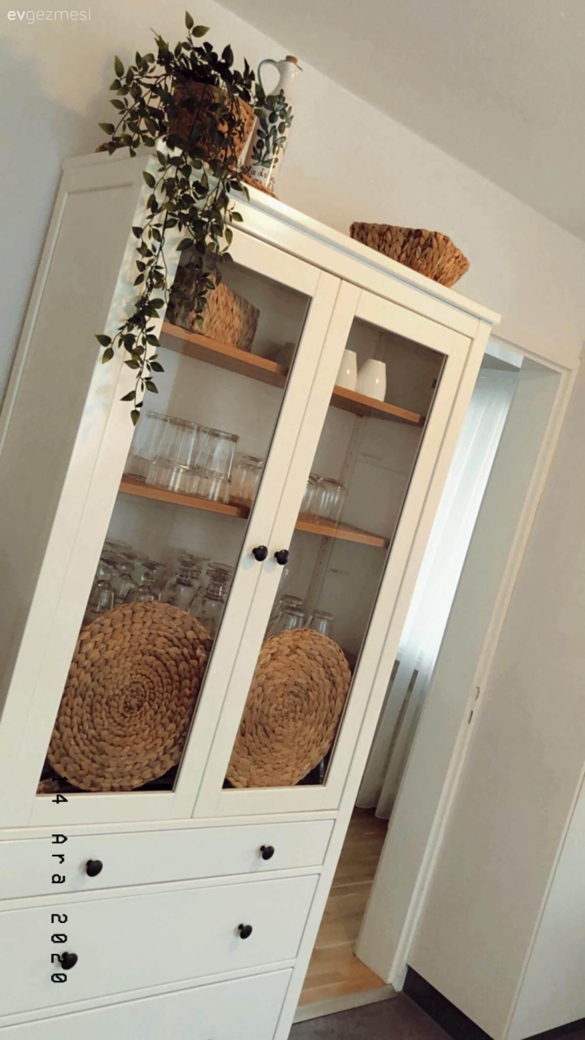 Beyaz, Vitrin, Ev bitkisi