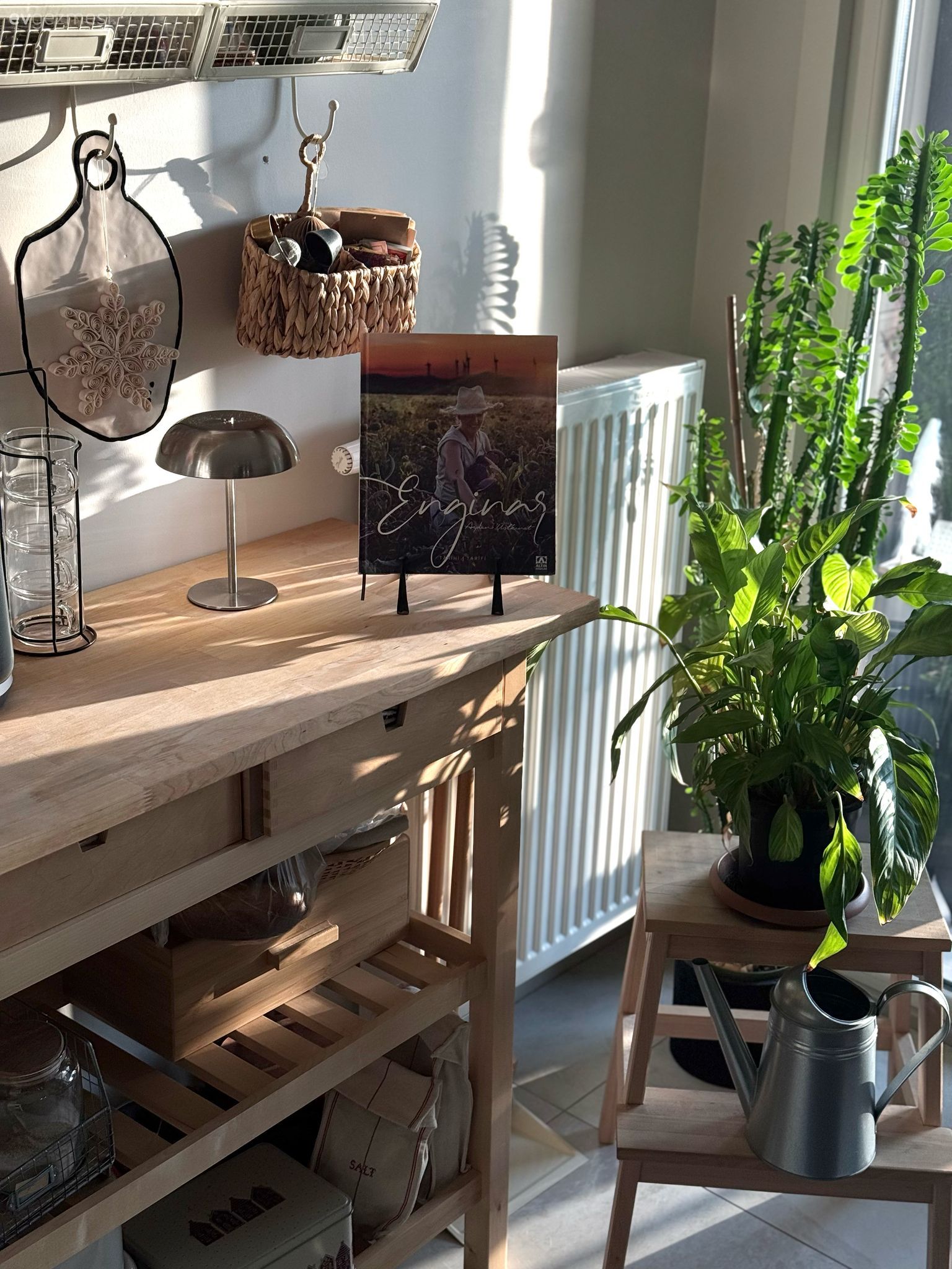 Bu Ankara Evinde Doğadan Esinlenen Bir Renk Paleti Var