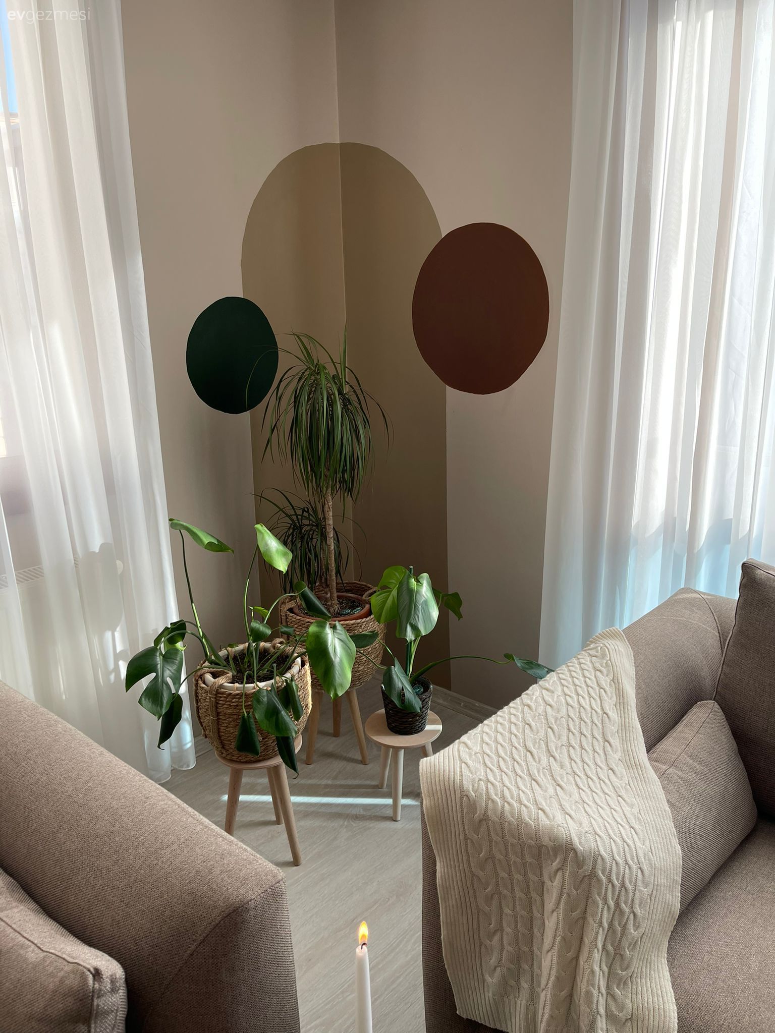 Duvar dekorasyonu, Ev bitkisi, Saksı, Koltuk takımı, Bej