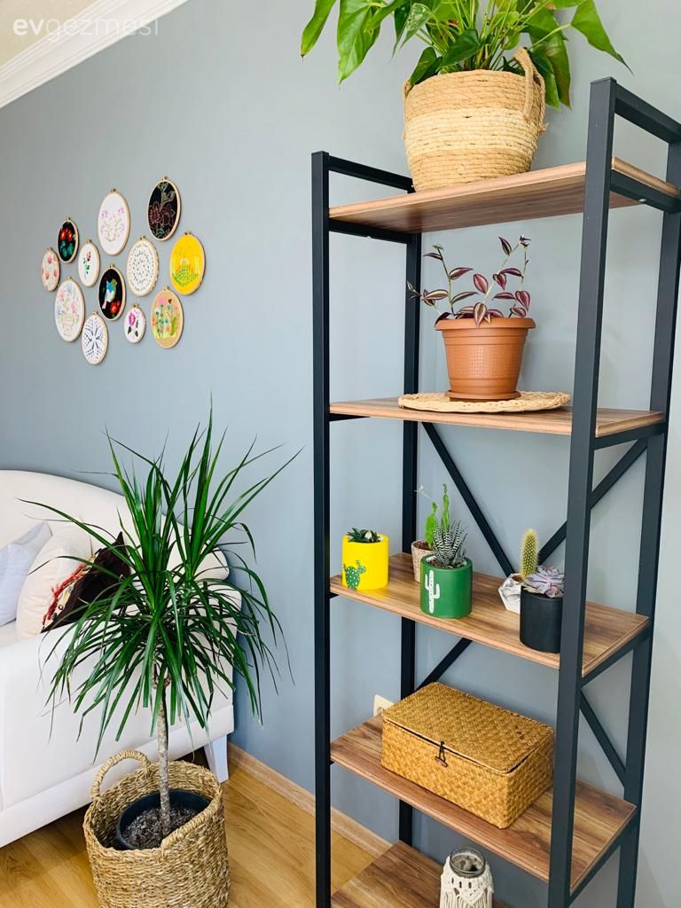 Kitaplık, Saksı, Ev bitkisi, Siyah, Beyaz, Mavi duvar, Koltuk takımı, Parke, Hasır sepet, Duvar dekorasyonu