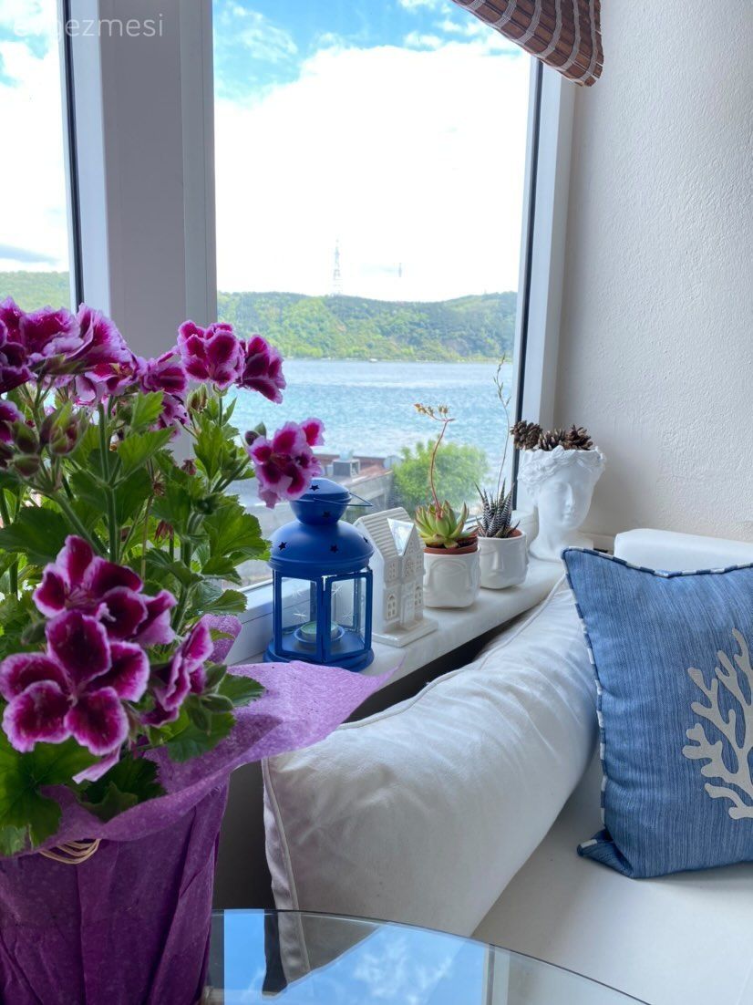 Balkon, Beyaz, Kırlent, Ev tekstili, Çizgili desen, Desenler, Sedir, Pencere duvar dekoru, Duvar dekorasyonu, Balkon çiçekleri