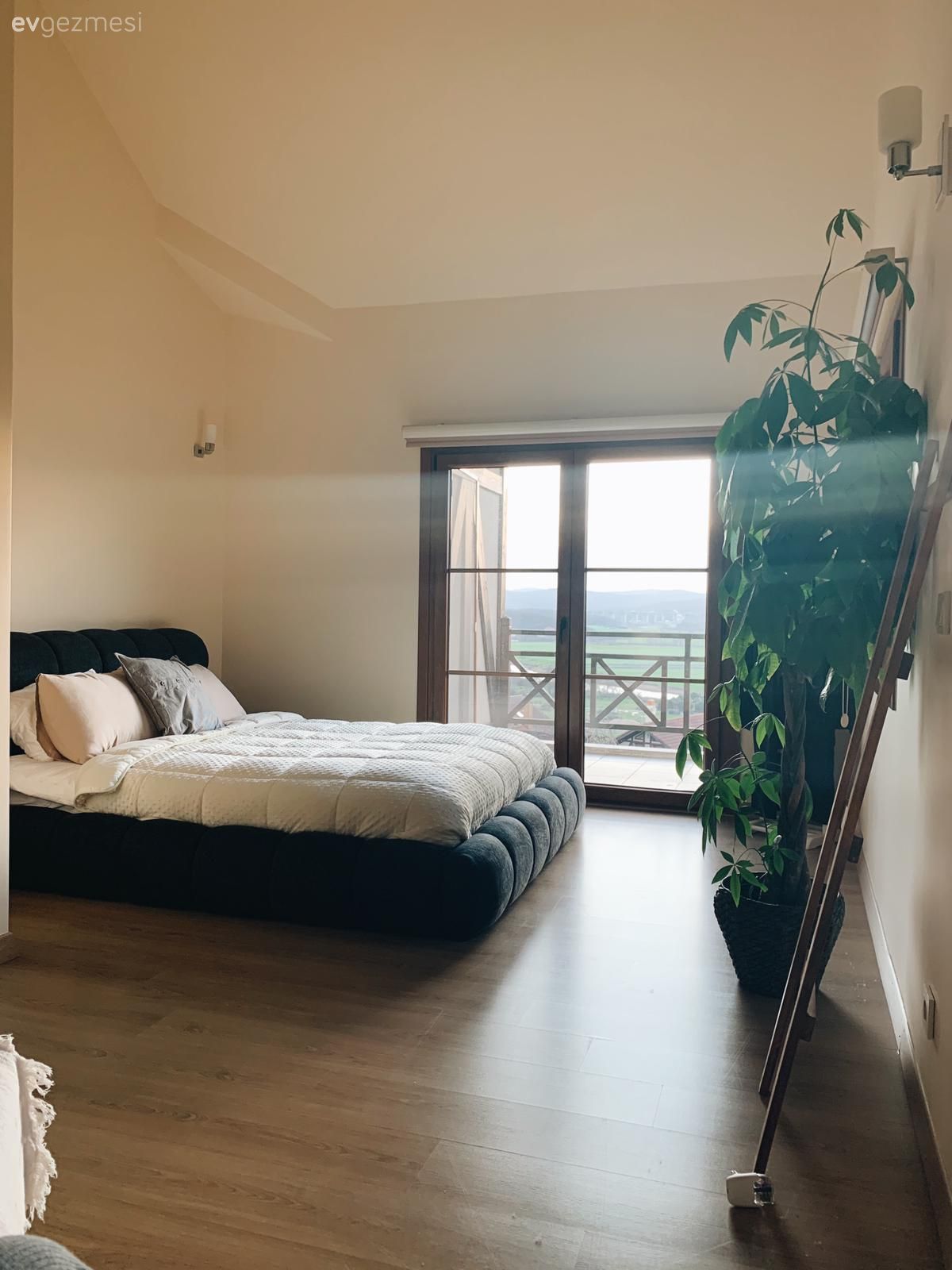 Yatak Odası, Beyaz, Siyah, Yüksek tavanlı ev, Parke, Ev bitkisi, Krem duvar