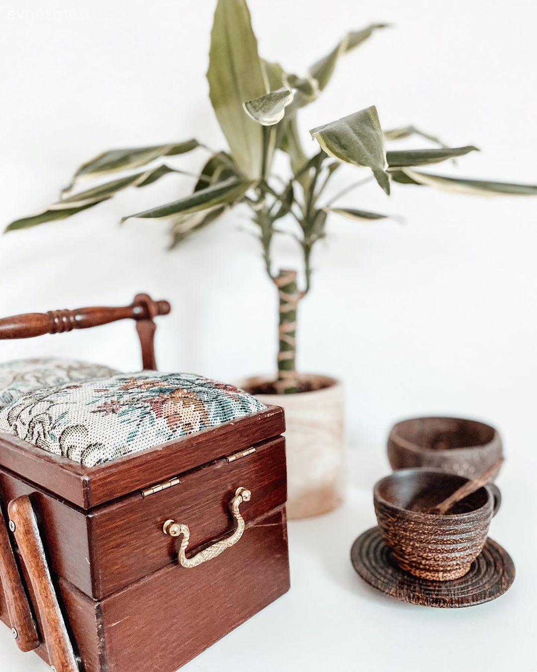 Kahverengi, Sandalye, Ev bitkisi, Dekoratif Objeler