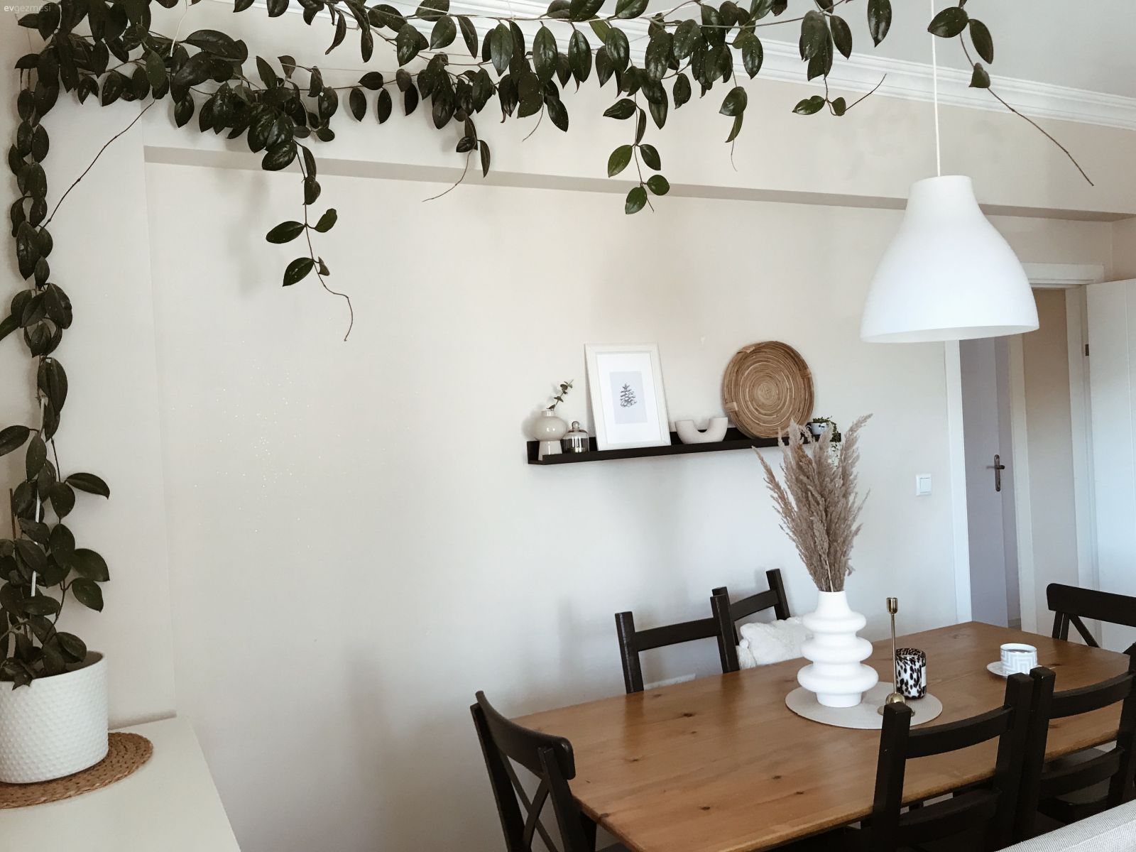 Yemek Odası, Yemek masası, Sandalye, Siyah, Beyaz, Ahşap masa, Avize, Aydınlatma, Sarmaşık, Ev bitkisi, Duvar rafı, Duvar dekorasyonu, Dekoratif Objeler