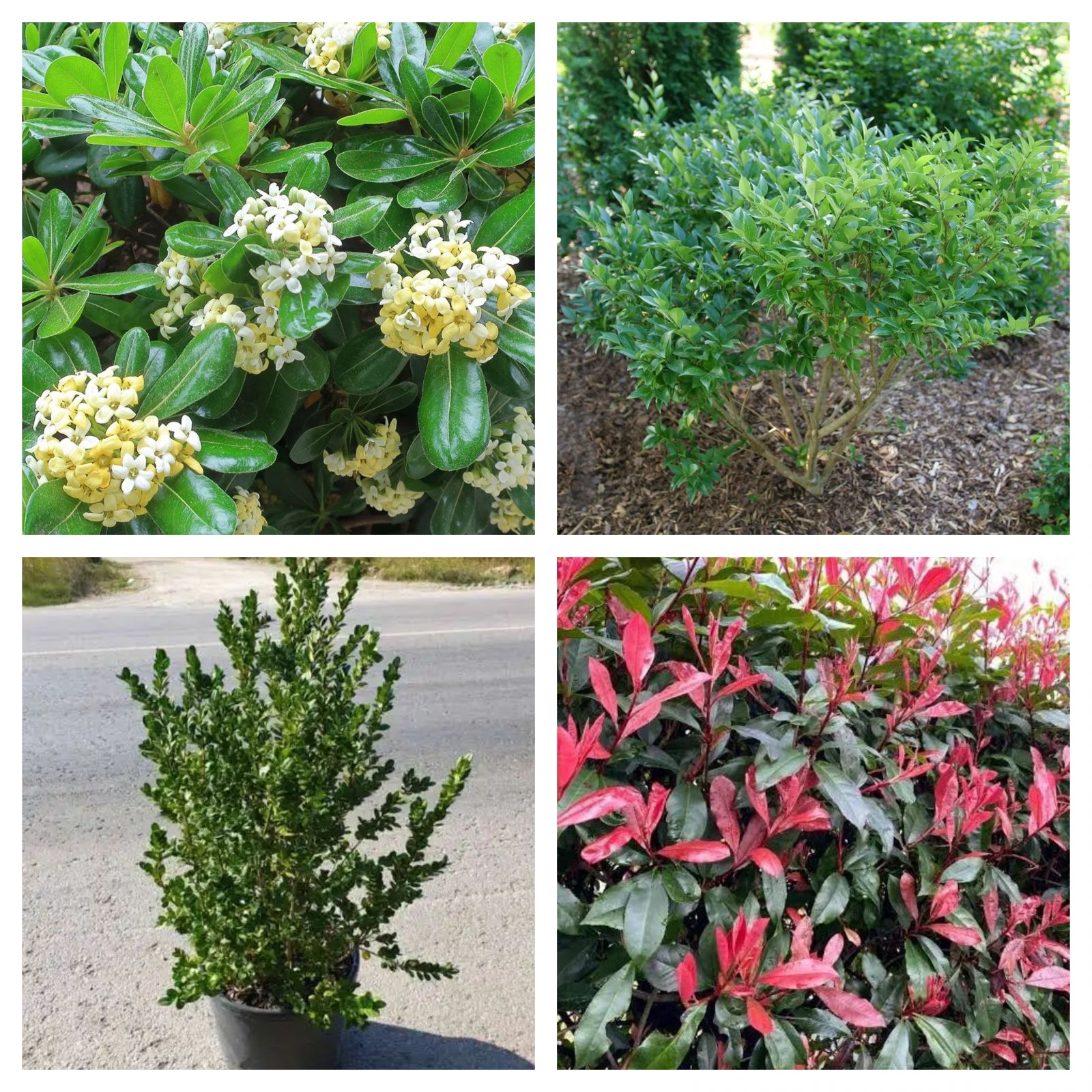 Kiracılar İçin Dekorasyon Maliyetini Düşürmenin Yolları