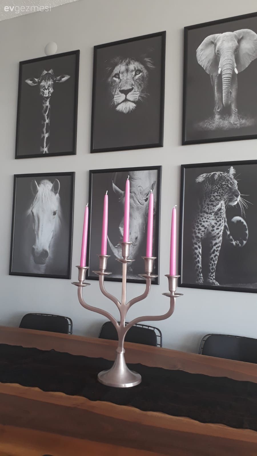 Kendine Özgü Bu  Ankara Evi, Doğayı Vahşi Haliyle Seviyor