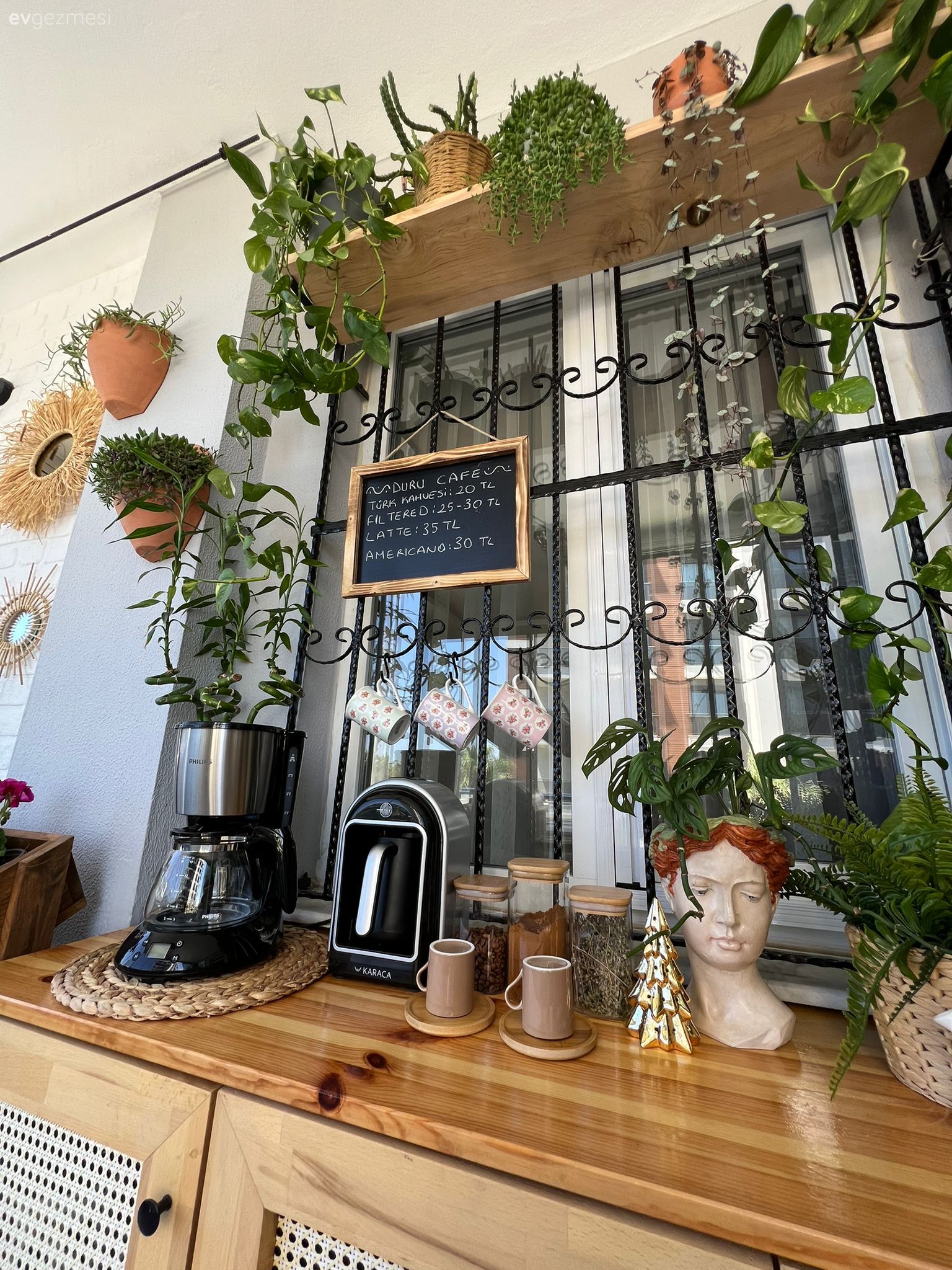 Ev bitkisi, Saksı, Balkon duvar dekorasyonu