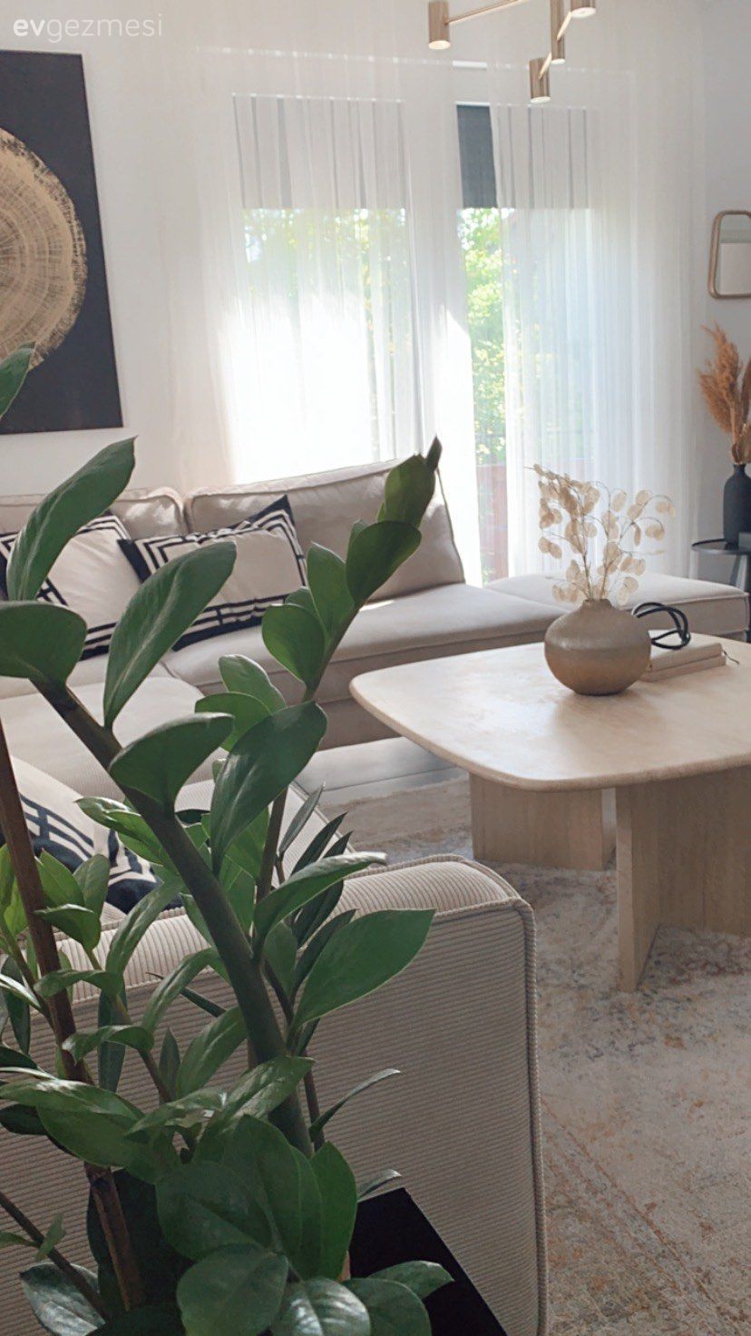Salon, Modern, Krem, Bej, Köşe koltuk, Koltuk takımı, Orta sehpa, Sehpa, Halı, Salon halısı, Ahşap Mobilya, Ev bitkisi, Tablo, Duvar dekorasyonu, Tül perde, Perde, Avize, Aydınlatma, Dekoratif Objeler