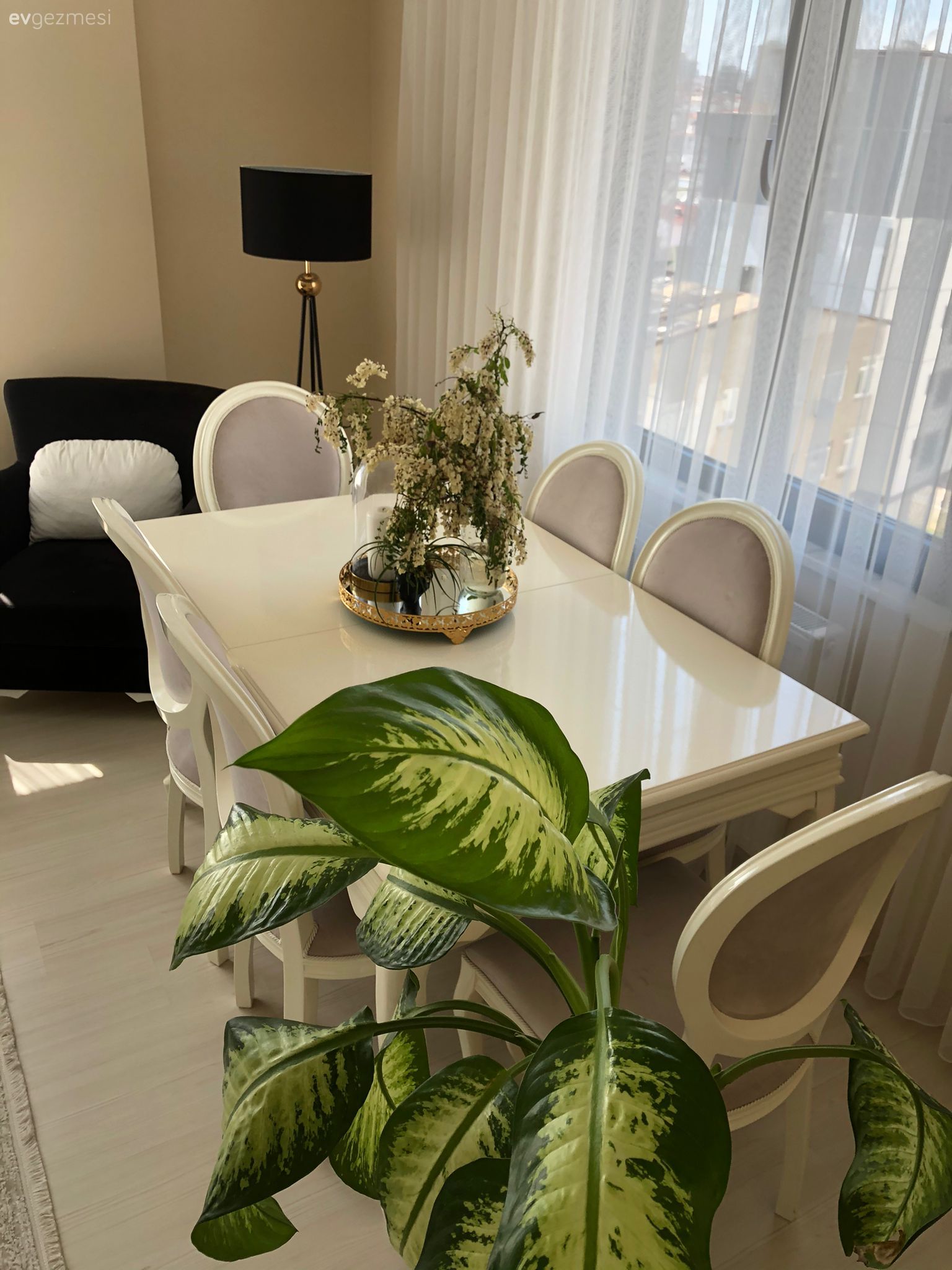 Yemek Odası, Gri, Beyaz, Ev bitkisi, Berjer, Lambader, Aydınlatma