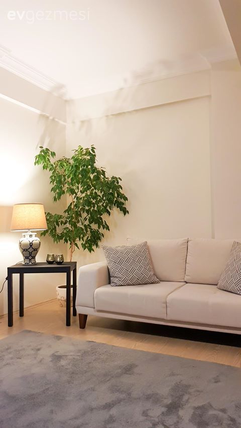 Oturma Odası, Beyaz, Koltuk takımı, Gri, Halı, Ev bitkisi, Abajur, Aydınlatma
