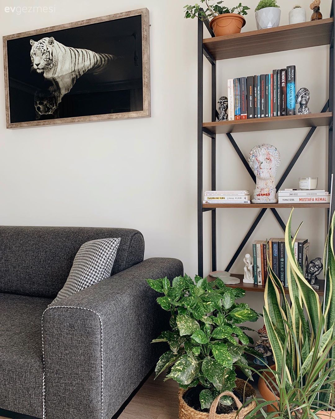 Salon, Gri, Siyah, Tablo, Duvar dekorasyonu, Dekoratif Objeler, Hasır sepet, Ev bitkisi, Koltuk takımı