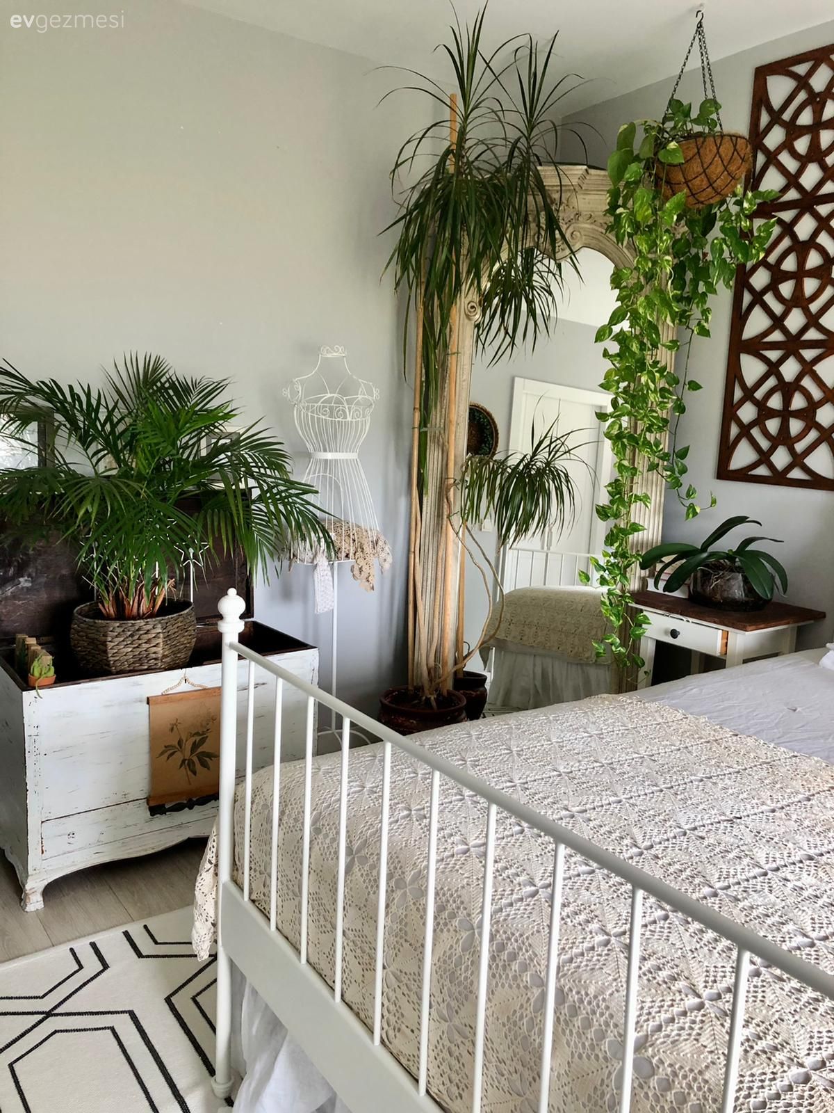 Şehrin Merkezinde Çiftlik Havası: İstanbul'da Doğaya Aşık Bir Ev