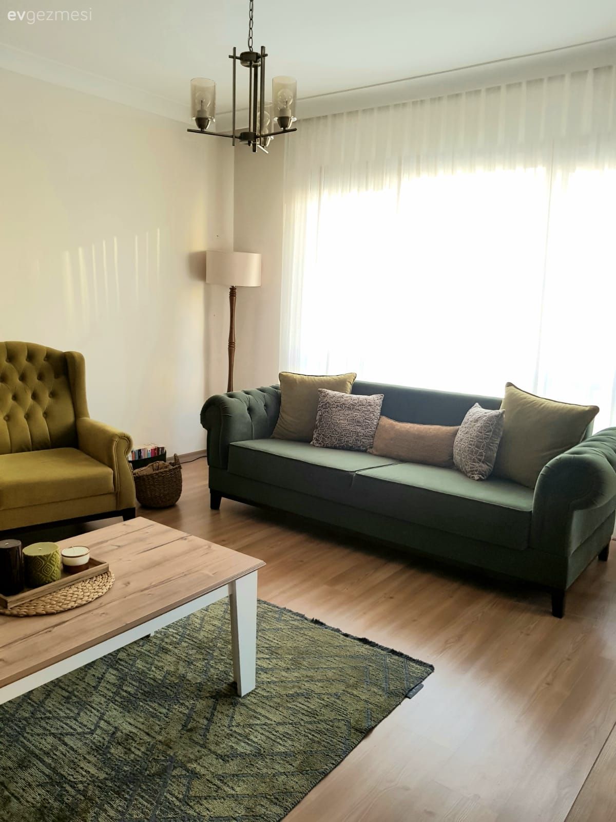 Koltuk takımı, Yeşil, Beyaz, Orta sehpa, Sehpa, Ahşap Mobilya, Lambader, Aydınlatma, Avize, Halı