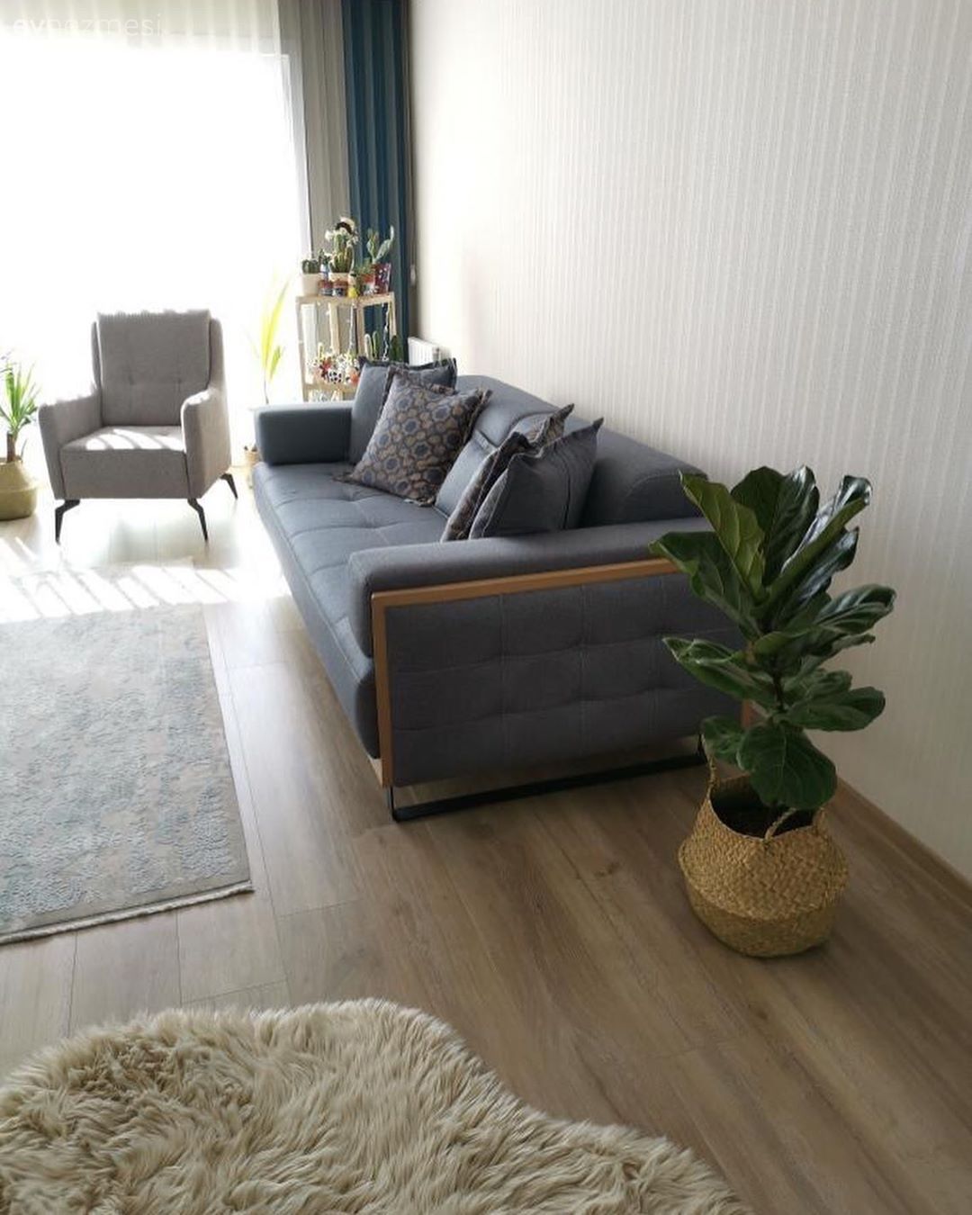 Bu Natürel Dekorda Bitkiler Mekanın Asıl Sahibi!