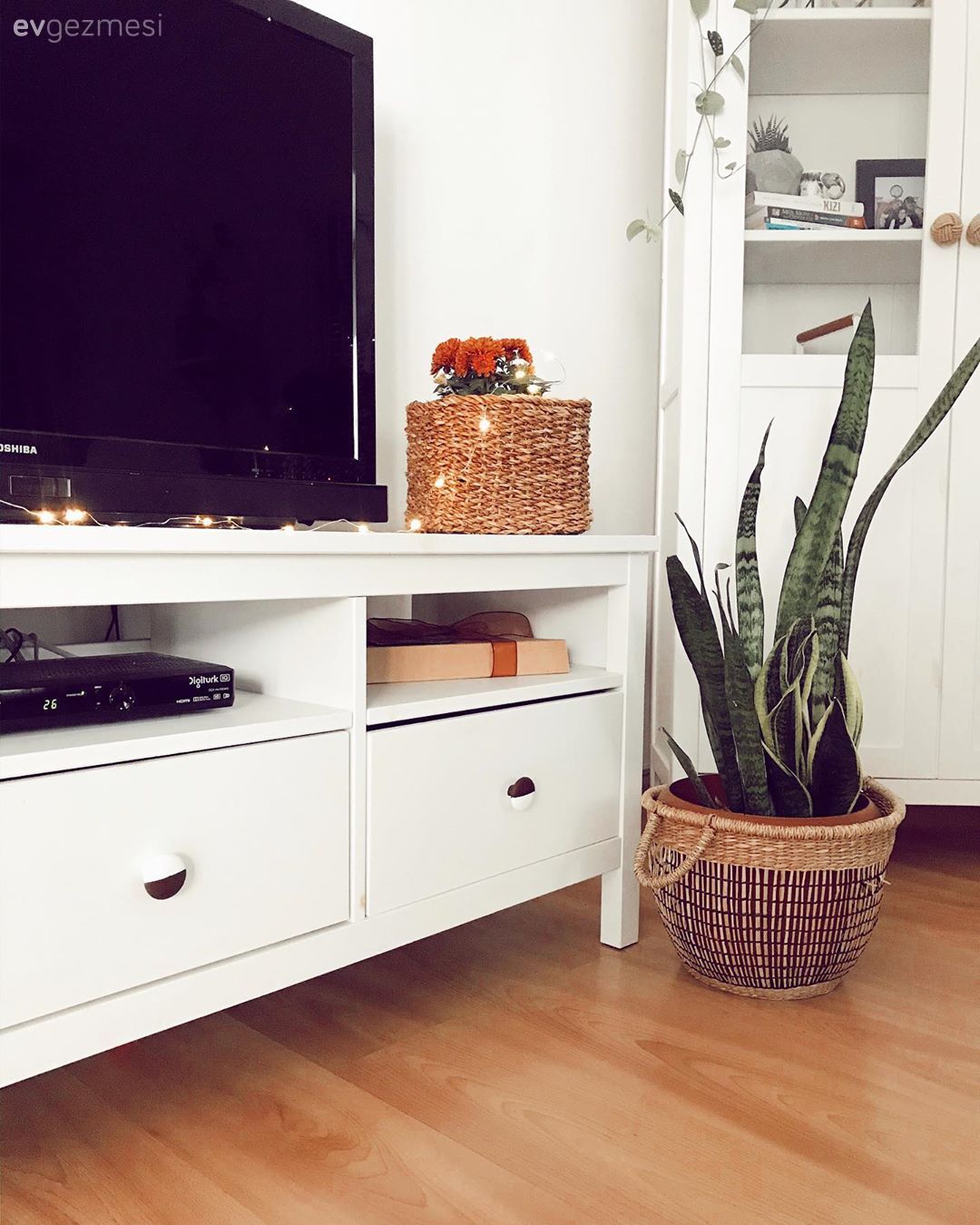 Beyaz, Tv ünitesi, Vitrin, Ev bitkisi, Kilim, Halı, Hasır sepet