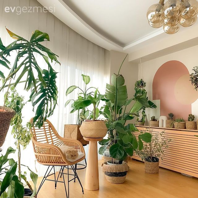 Salon, Bohem Dekorasyon, Beyaz, Ahşap Mobilya, Hasır, Ev bitkisi, Sehpa, Yuvarlak ayna, Avize, Aydınlatma, Hasır sepet, Saksı, Somon Rengi, Konsol, Rattan sandalye