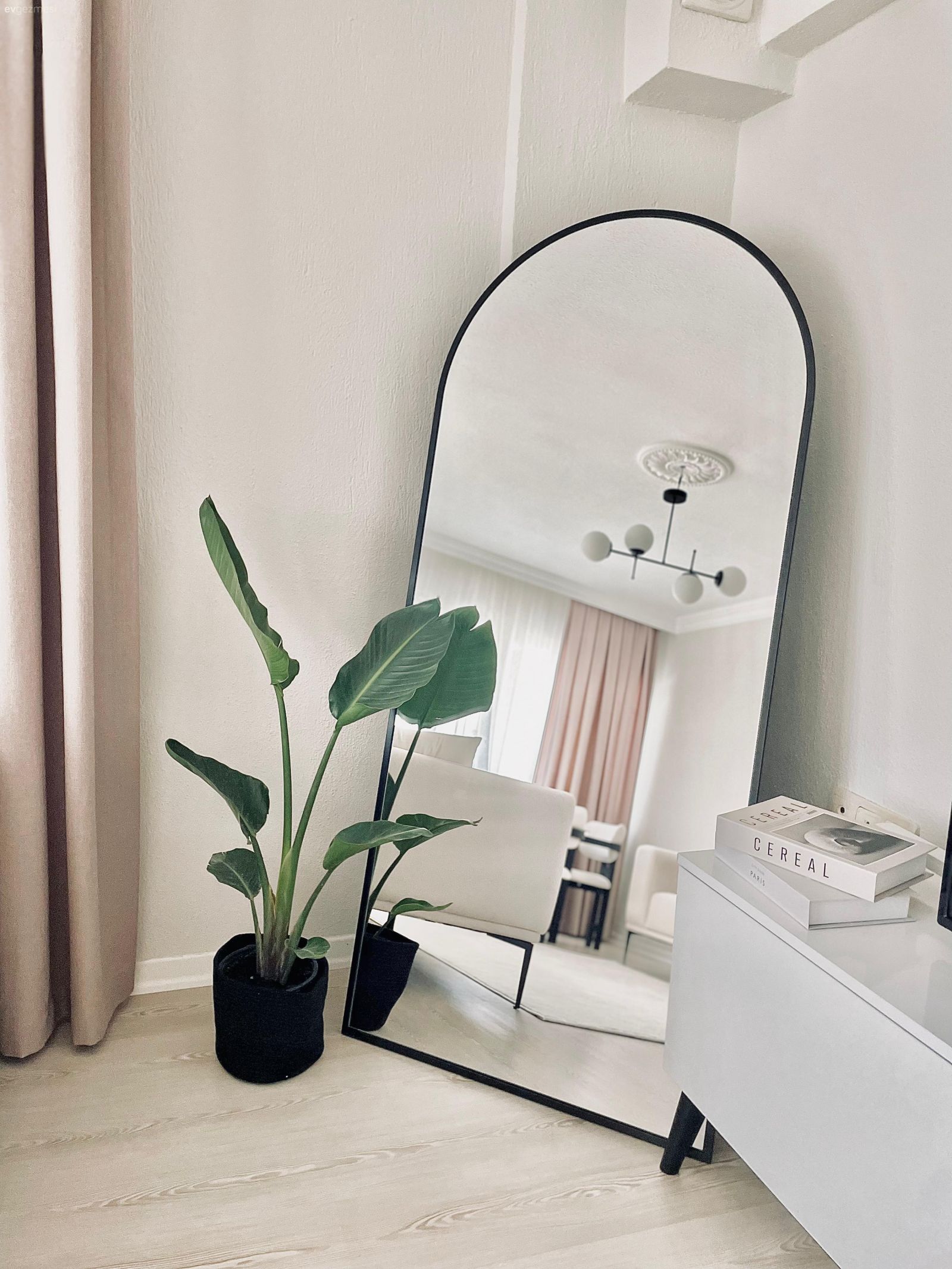 Boy aynası, Ayna, Ev bitkisi, Beyaz, Pudra pembe, Berjer