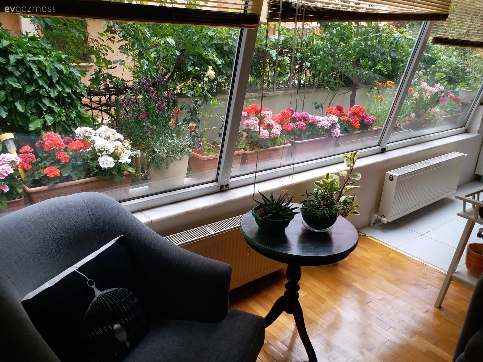 Katlamalı perde, Perde, Gri, Berjer, Çiçekler, Saksı, Ev bitkisi