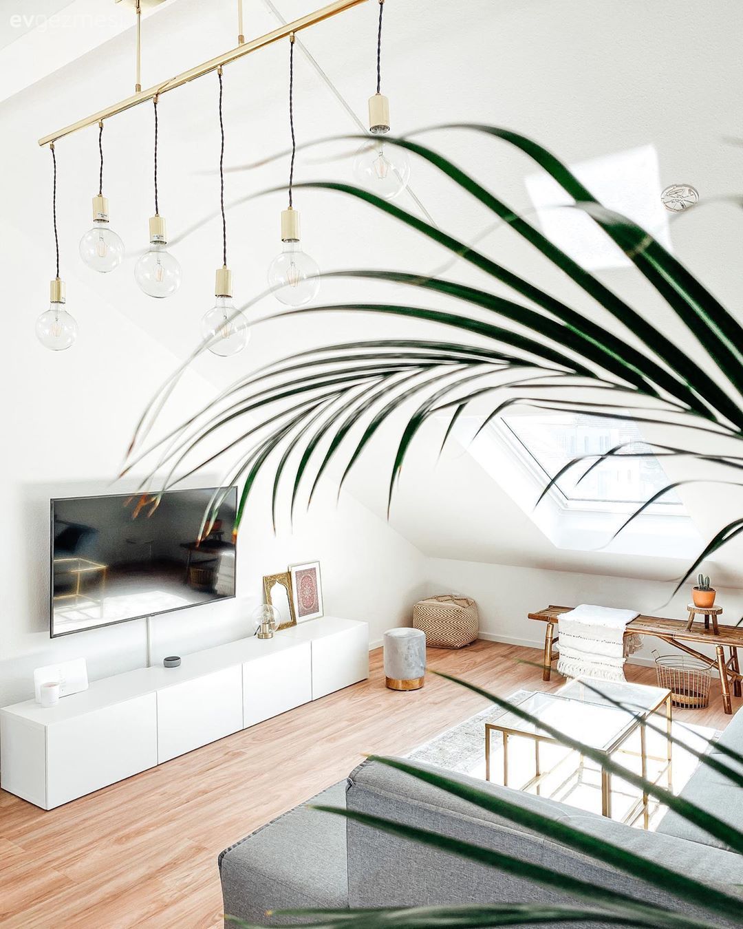 Salon, Çatı katı, Dubleks evler, Modern, Beyaz, Gri, Altın, Tv ünitesi, Rustik Aydınlatma, Parke, Cam orta sehpa, Orta sehpa, Köşe koltuk, Koltuk takımı, Puf, Ev bitkisi