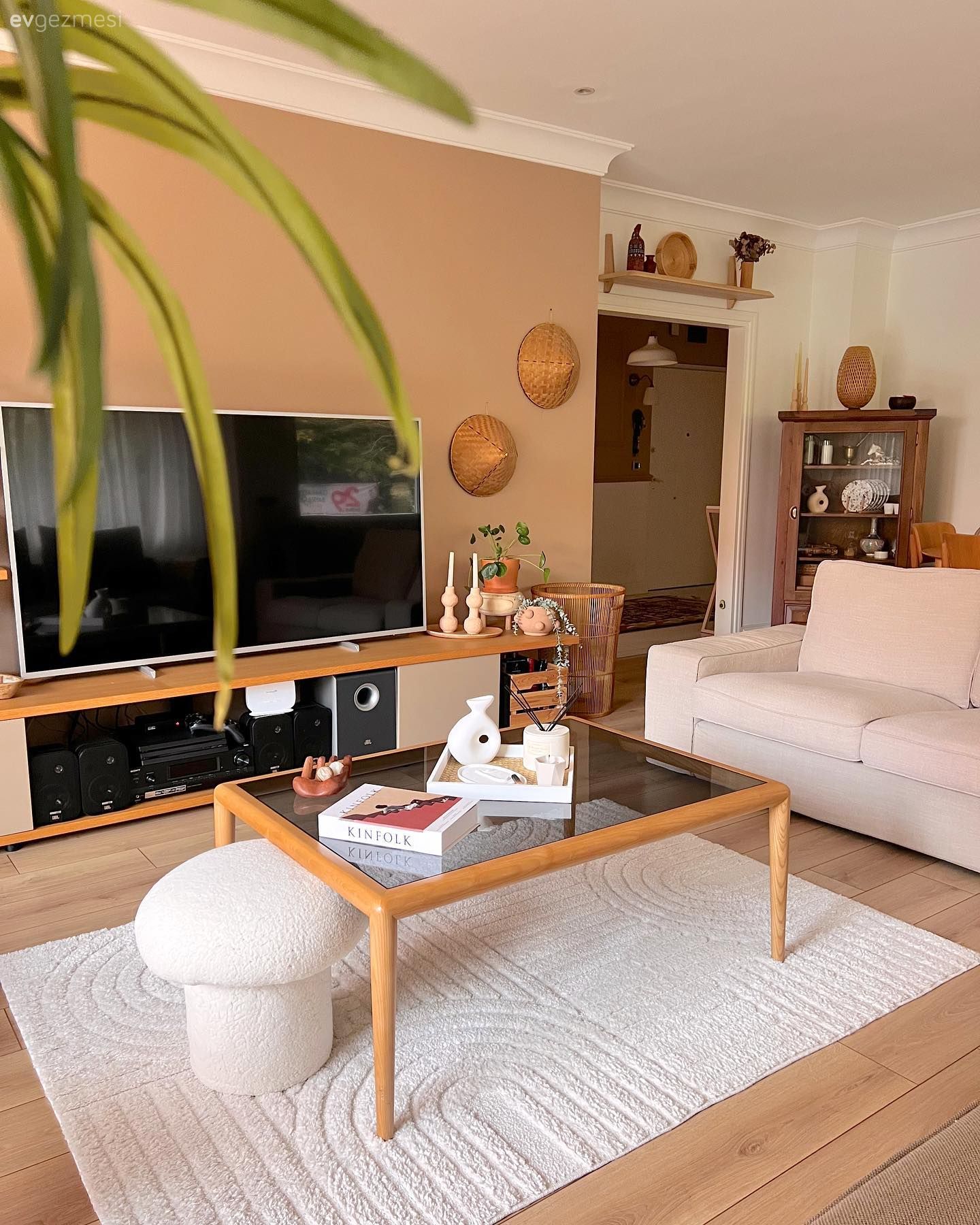 Somon Rengi, Ahşap Mobilya, Tv ünitesi, Tv ünitesi aksesuarları, Ev Aksesuar, Orta sehpa, Sehpa, Koltuk takımı, Halı, Salon halısı, Dekoratif Objeler, Parke, Puf