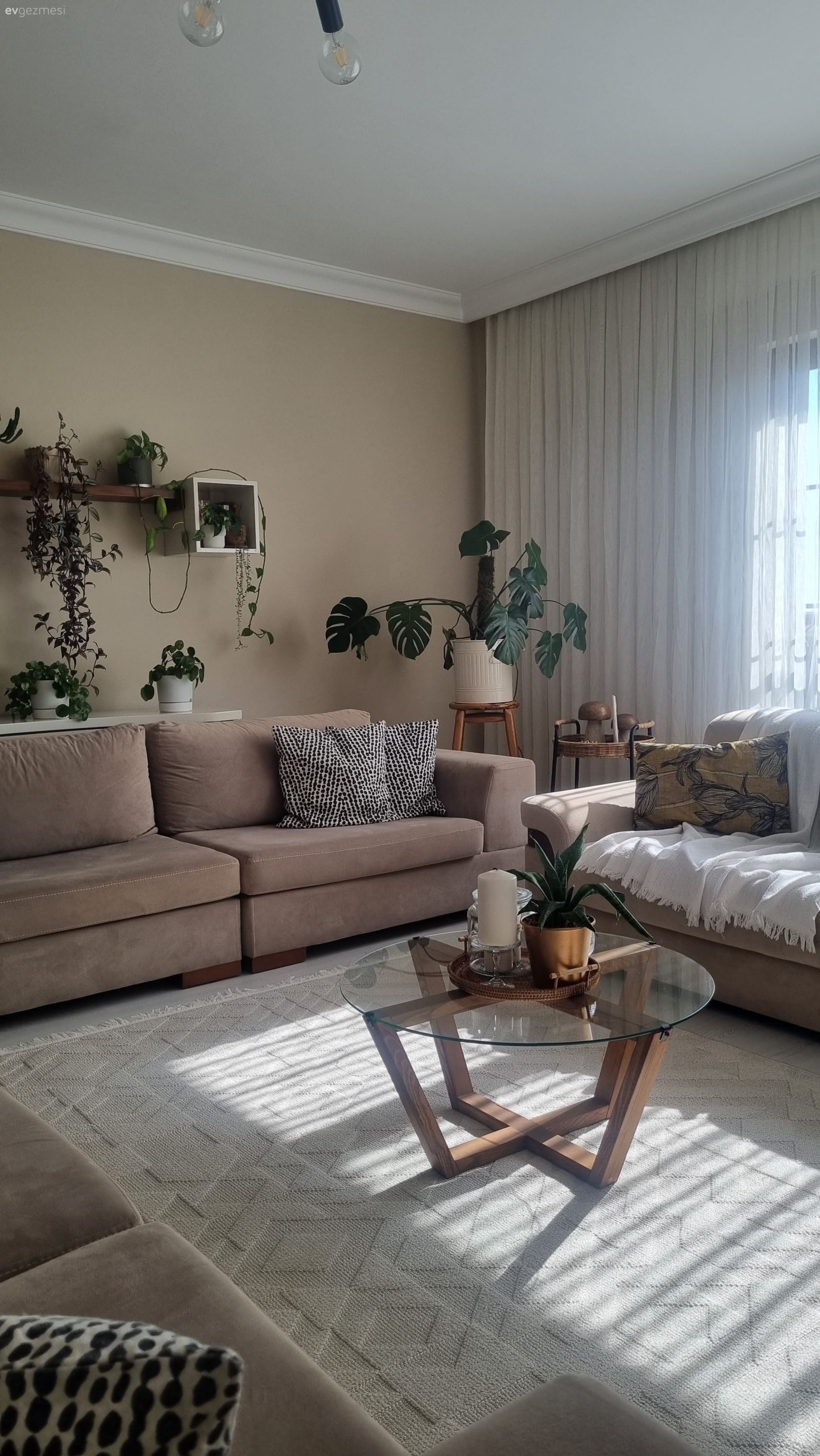 Bu Ankara Evinde Bitkiler Fazlaca Söz Sahibi