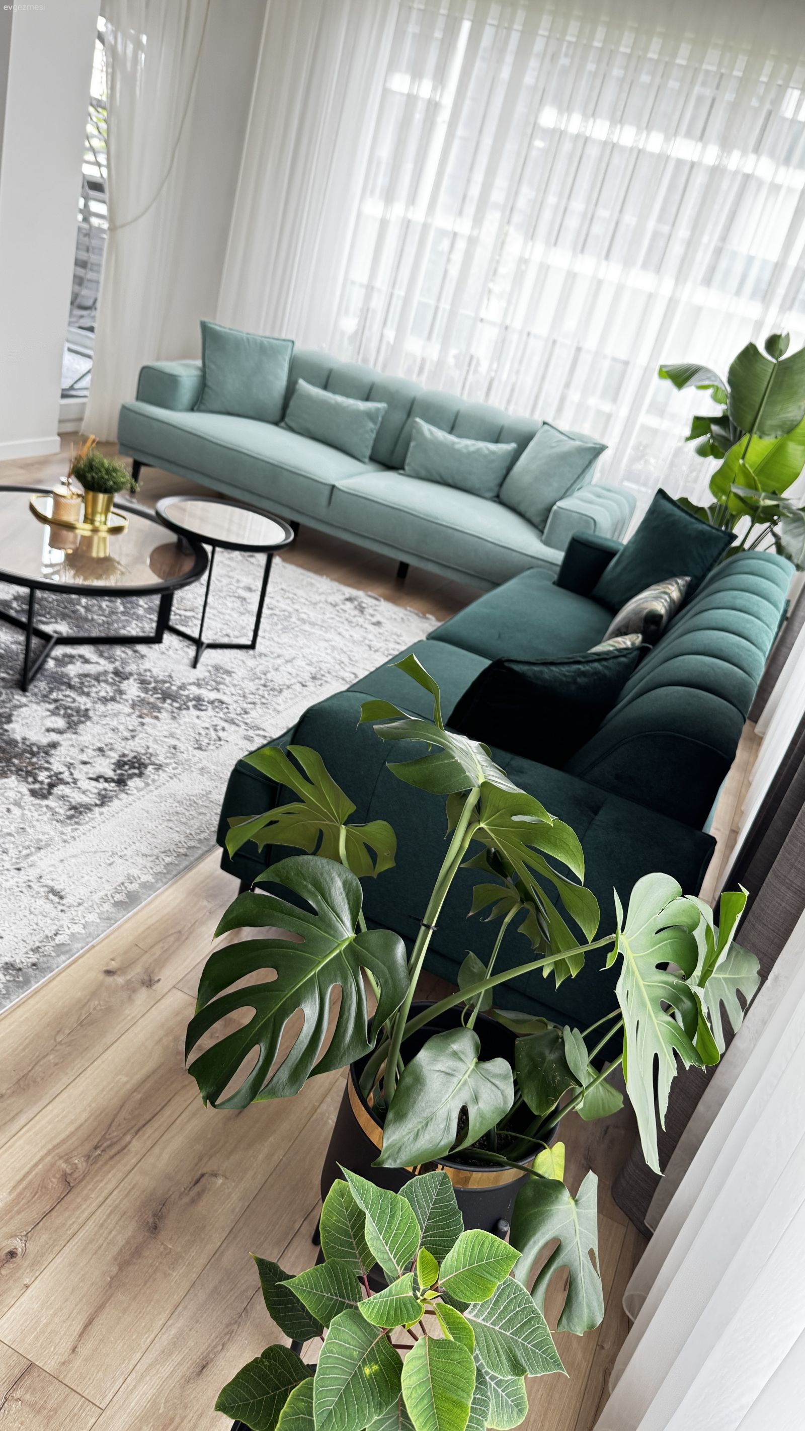 Bu Eskişehir Evinde Doğanın Sevdiği Yeşil Tonları Var