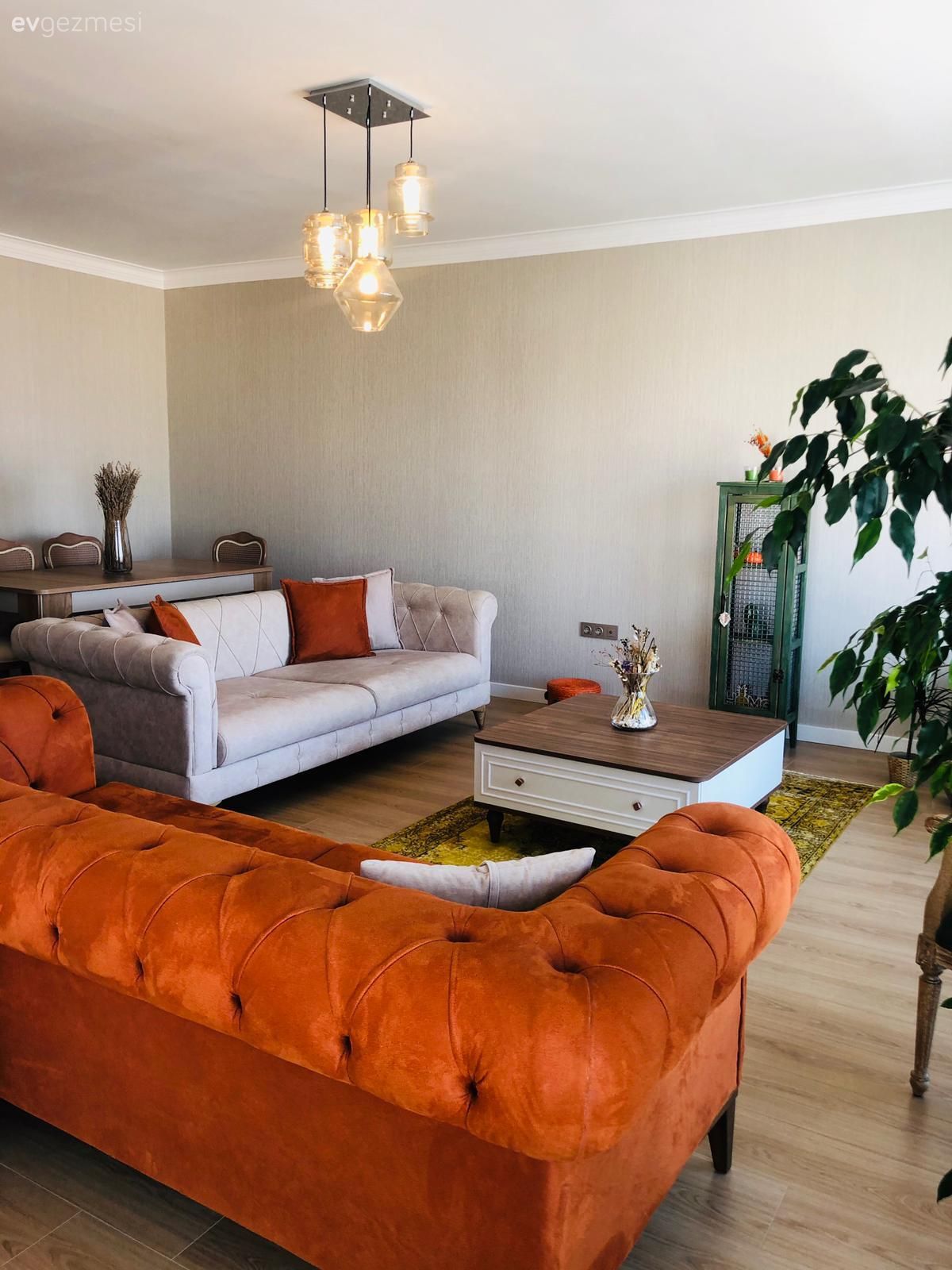 Salon, Modern rustik, Turuncu, Bej, Krem, Yeşil, Beyaz, Gri, Sarı, Koltuk takımı, Berjer, Orta sehpa, Sehpa, Halı, Salon halısı, Avize, Aydınlatma, Salon avizesi, Yan sehpa, Ev bitkisi, Ahşap Mobilya, Yemek masası